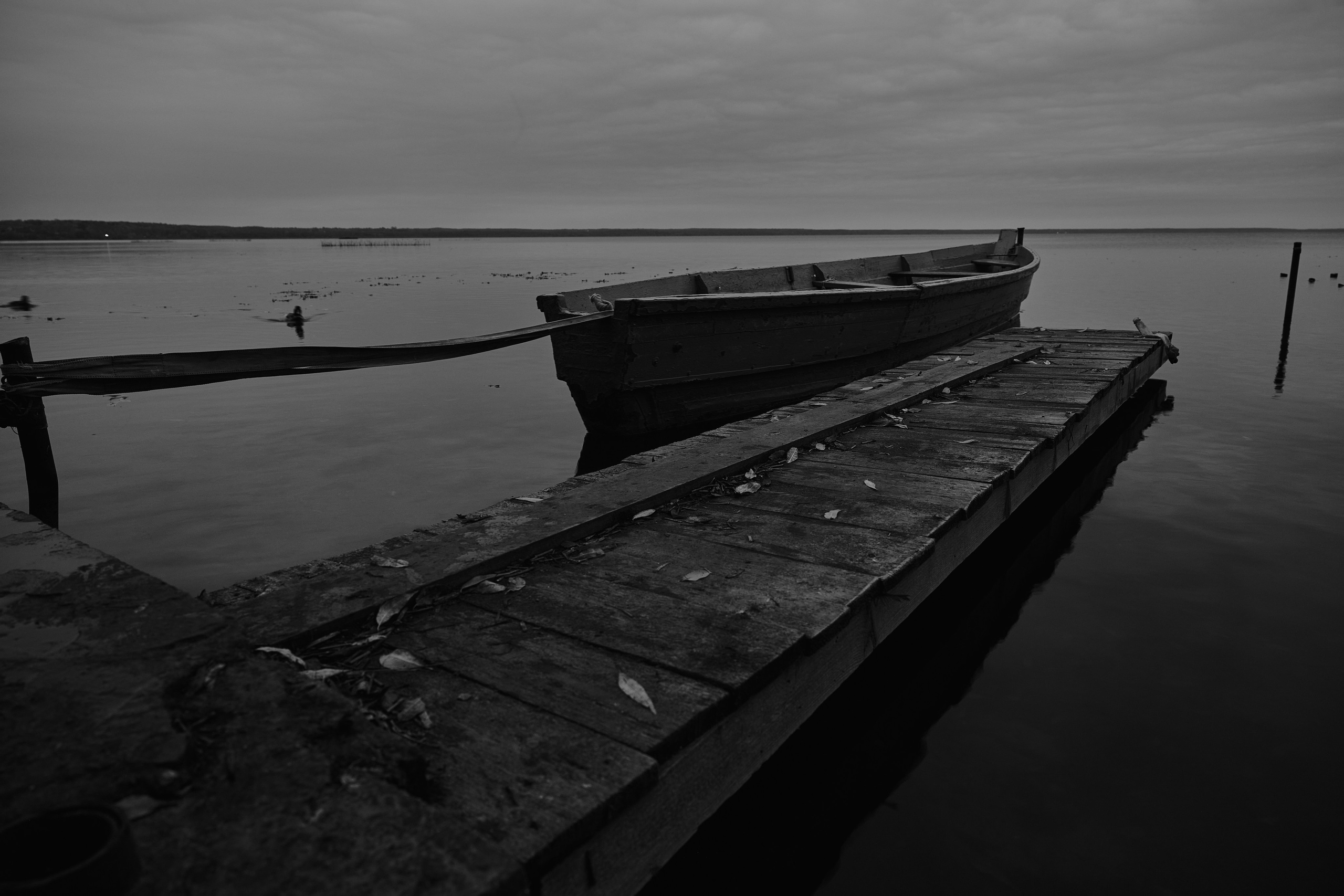 Сотрудничество и фотопроекты. Фотограф Роман Адлер