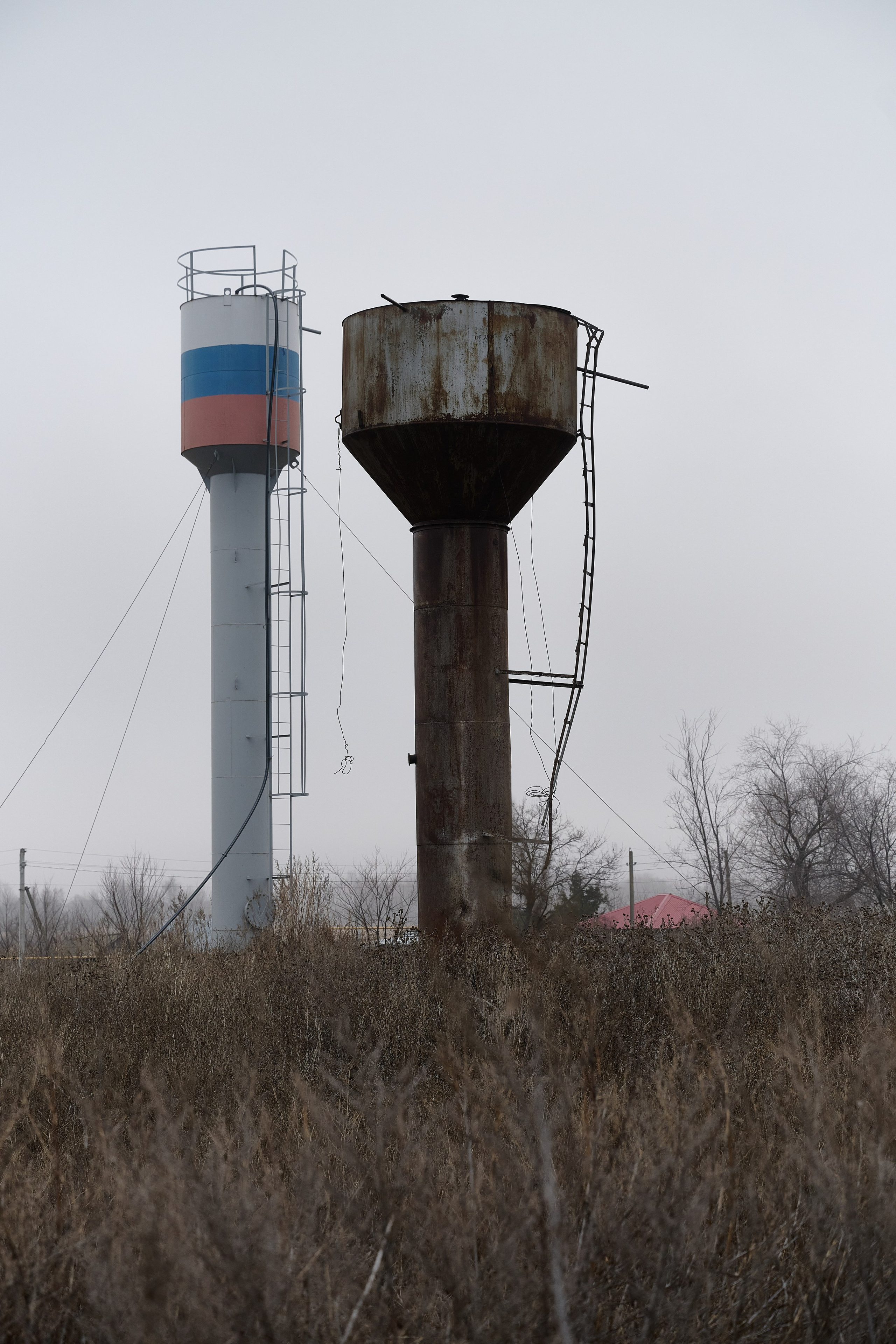 Дорога домой. Туман. Фотограф Роман Адлер