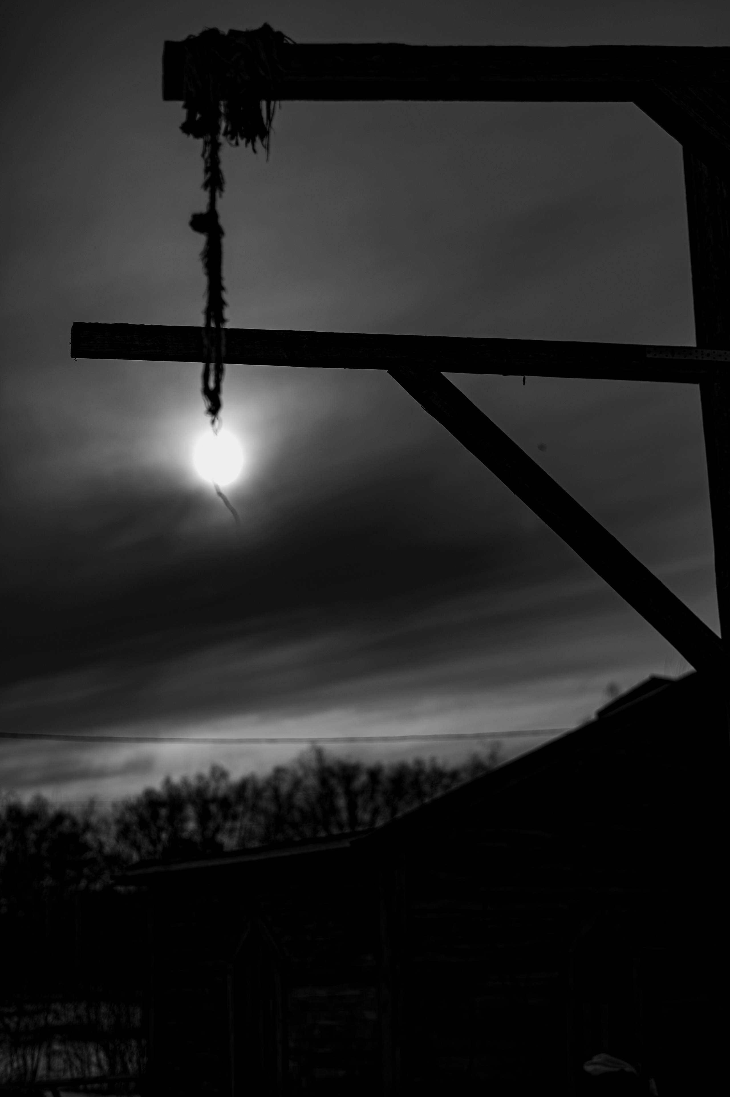 Фотопрогулка апрель 2022. Фотограф Роман Адлер