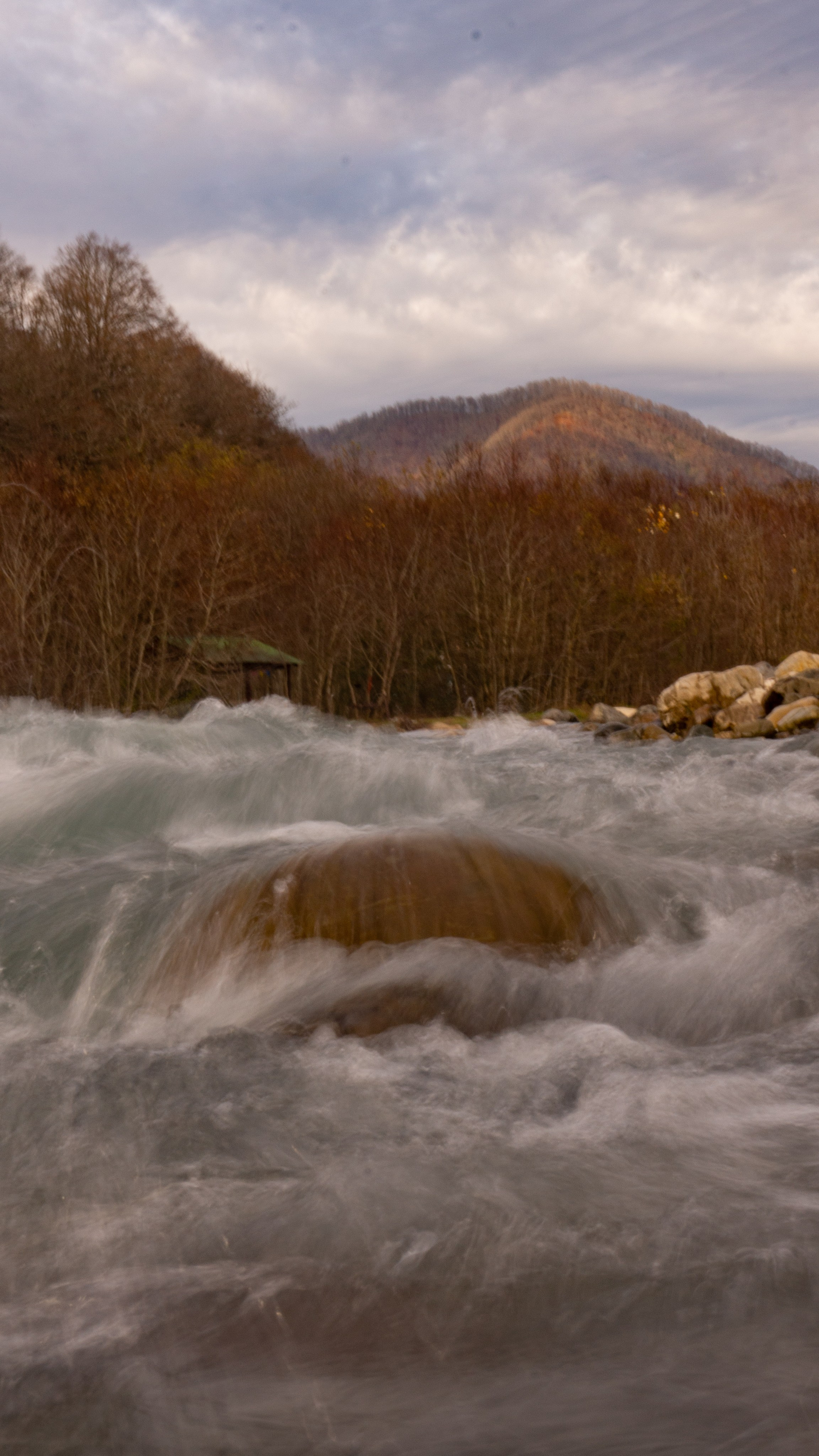 Фотографии Сочи, глазами гида-фотографа. Фотограф в Сочи Елена Лисотина. Фототуры в Сочи