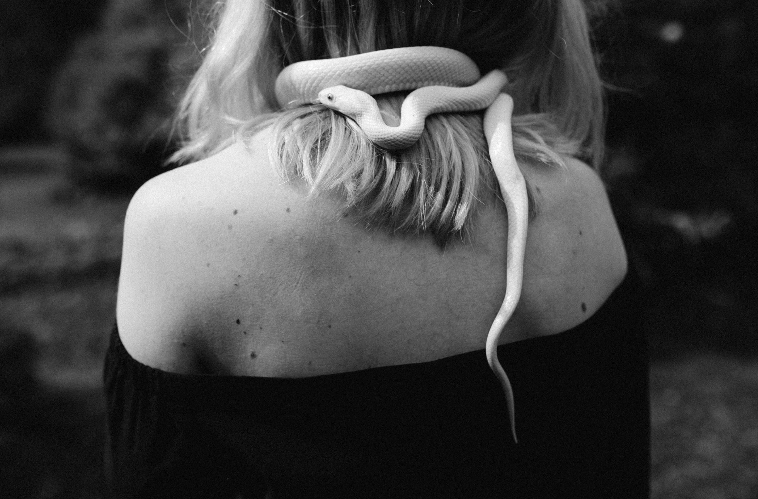 Белая змея обвивается вокруг шеи