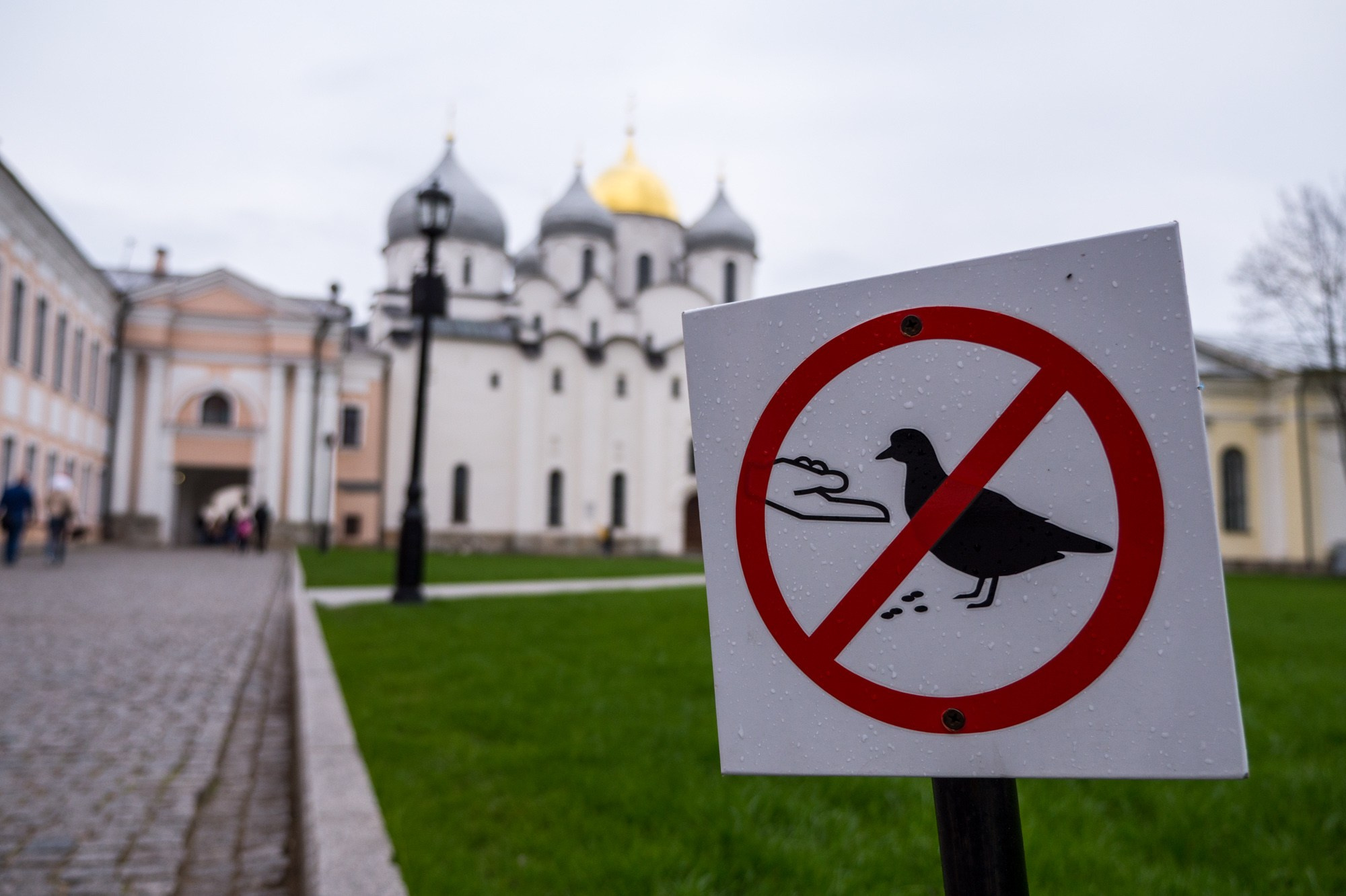 Новгород. Фотограф Алексей Скоробогатько