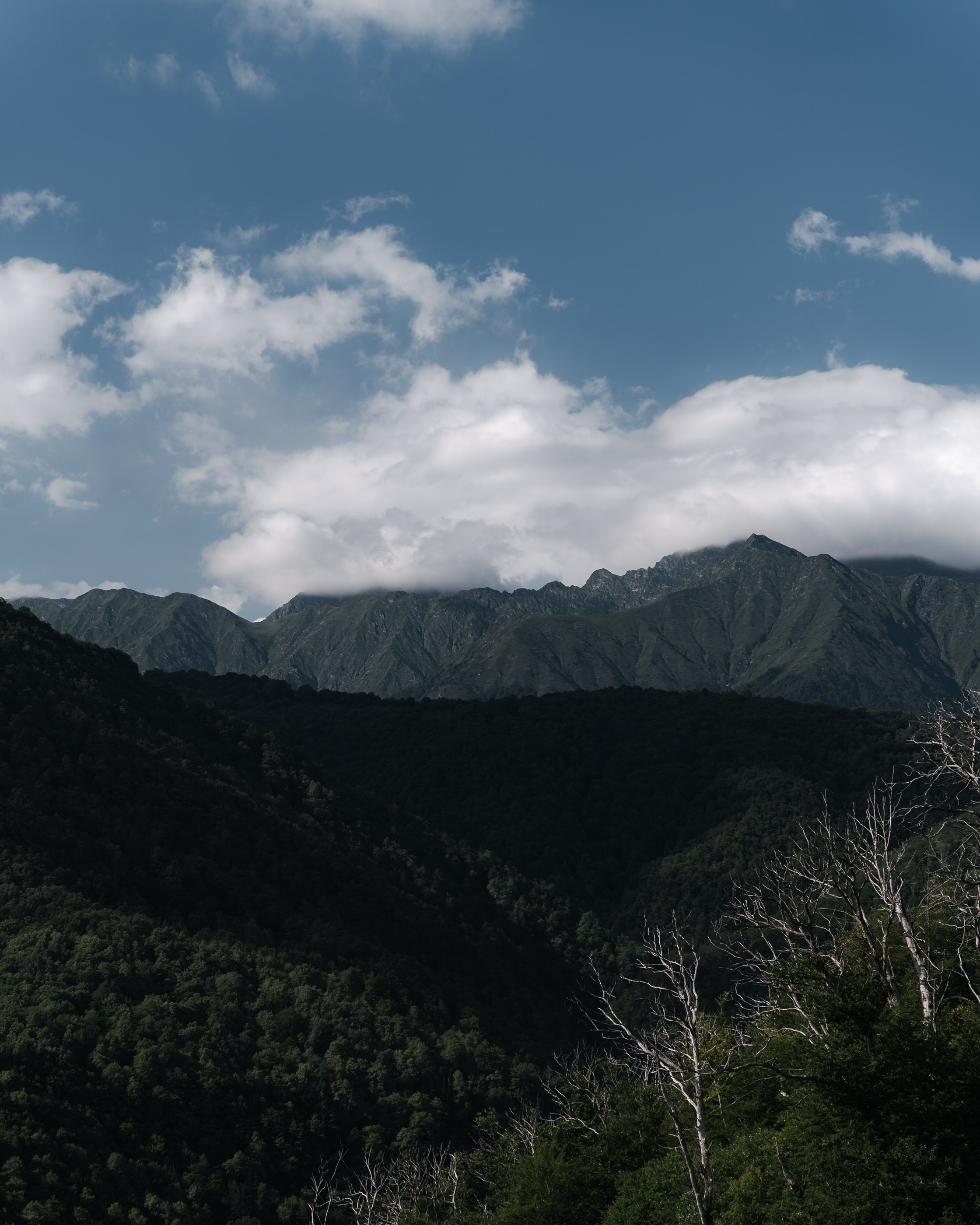 //GROUNDEDLOCAL2024. Автомобильный фотограф