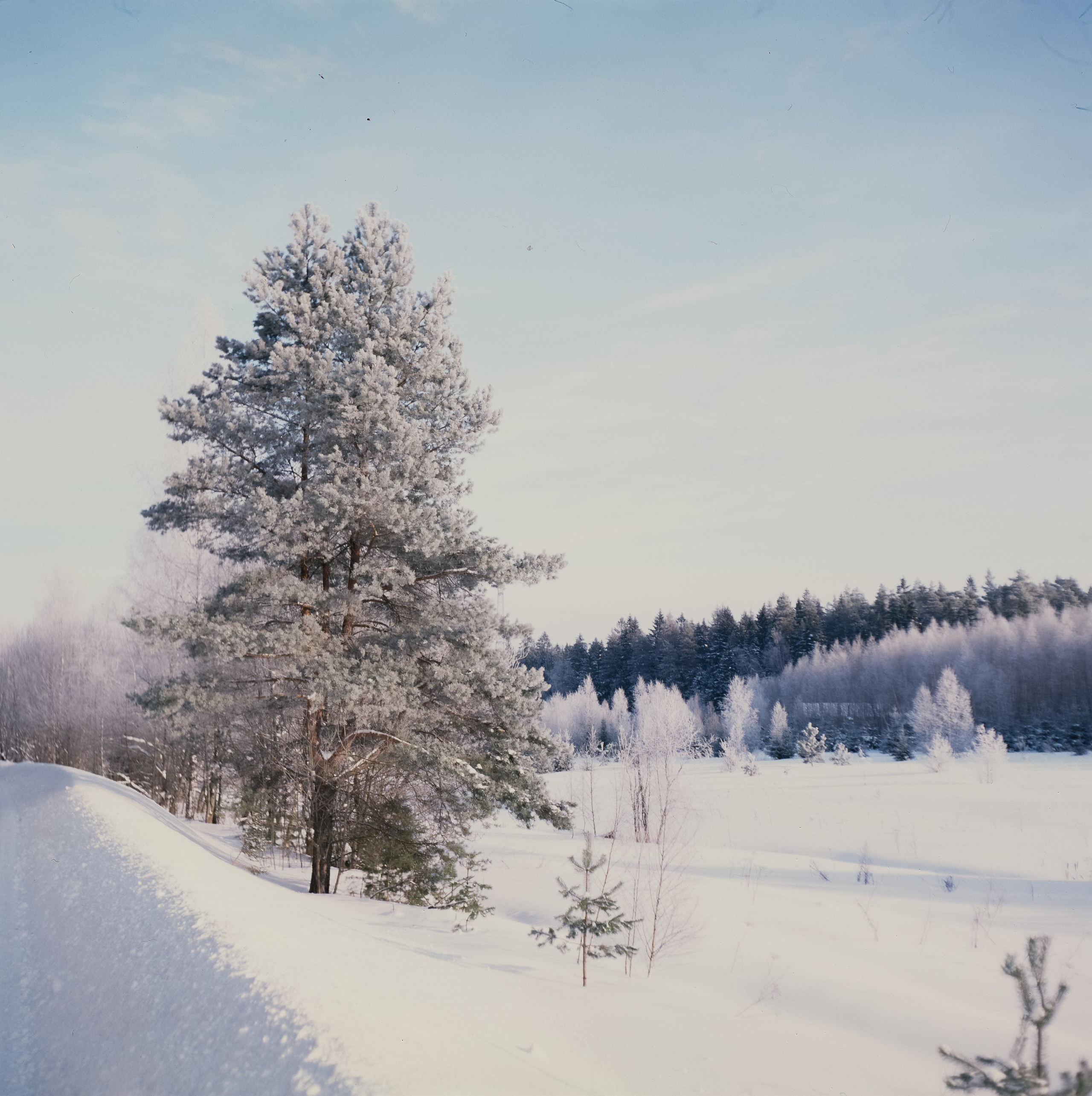 Welta Weltax — Fujichrome ASTIA 100 (at ISO 50) — Лукино морозное утро