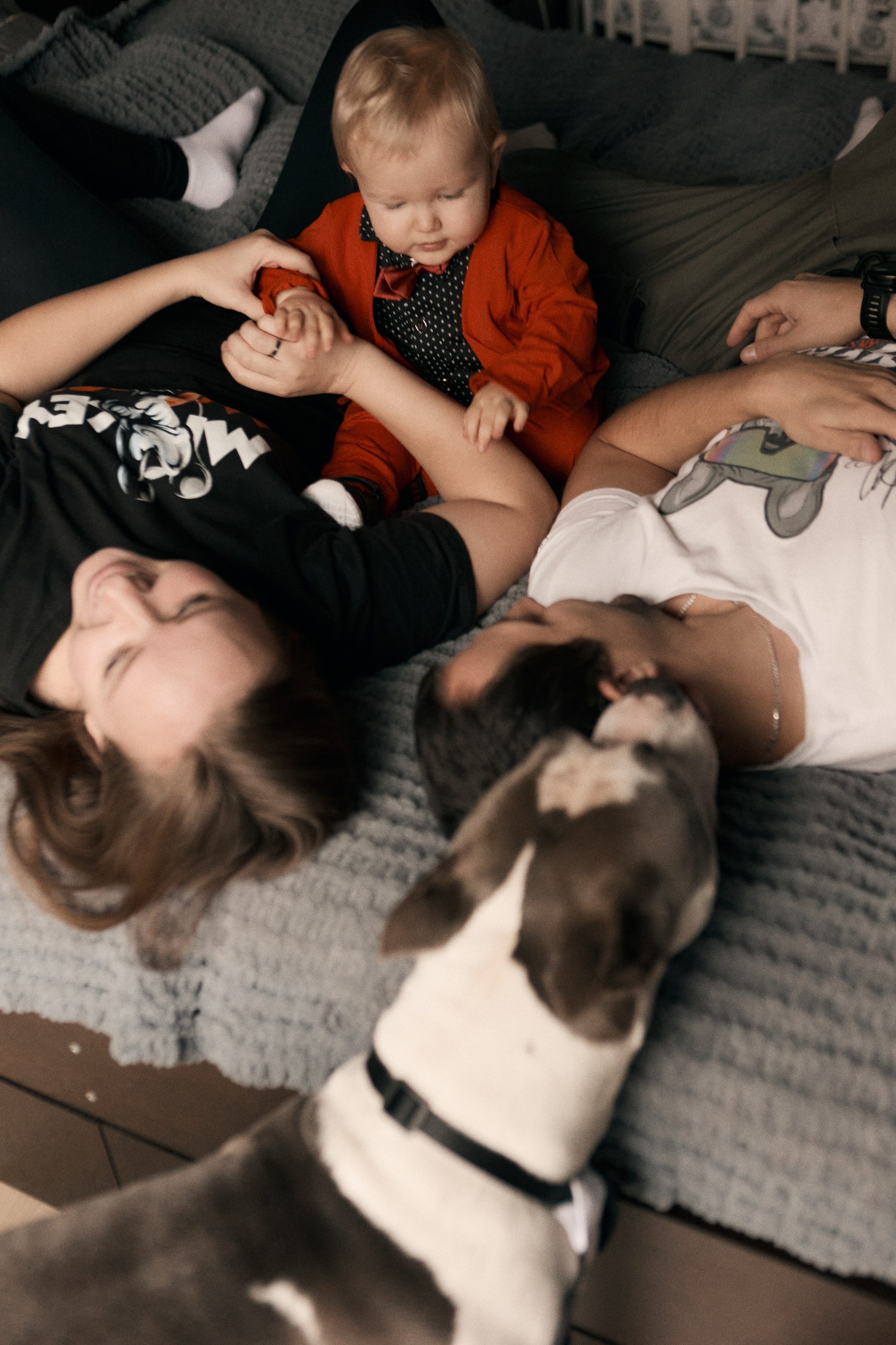 семейная фотосессия дома с маленьким ребенком и собакой