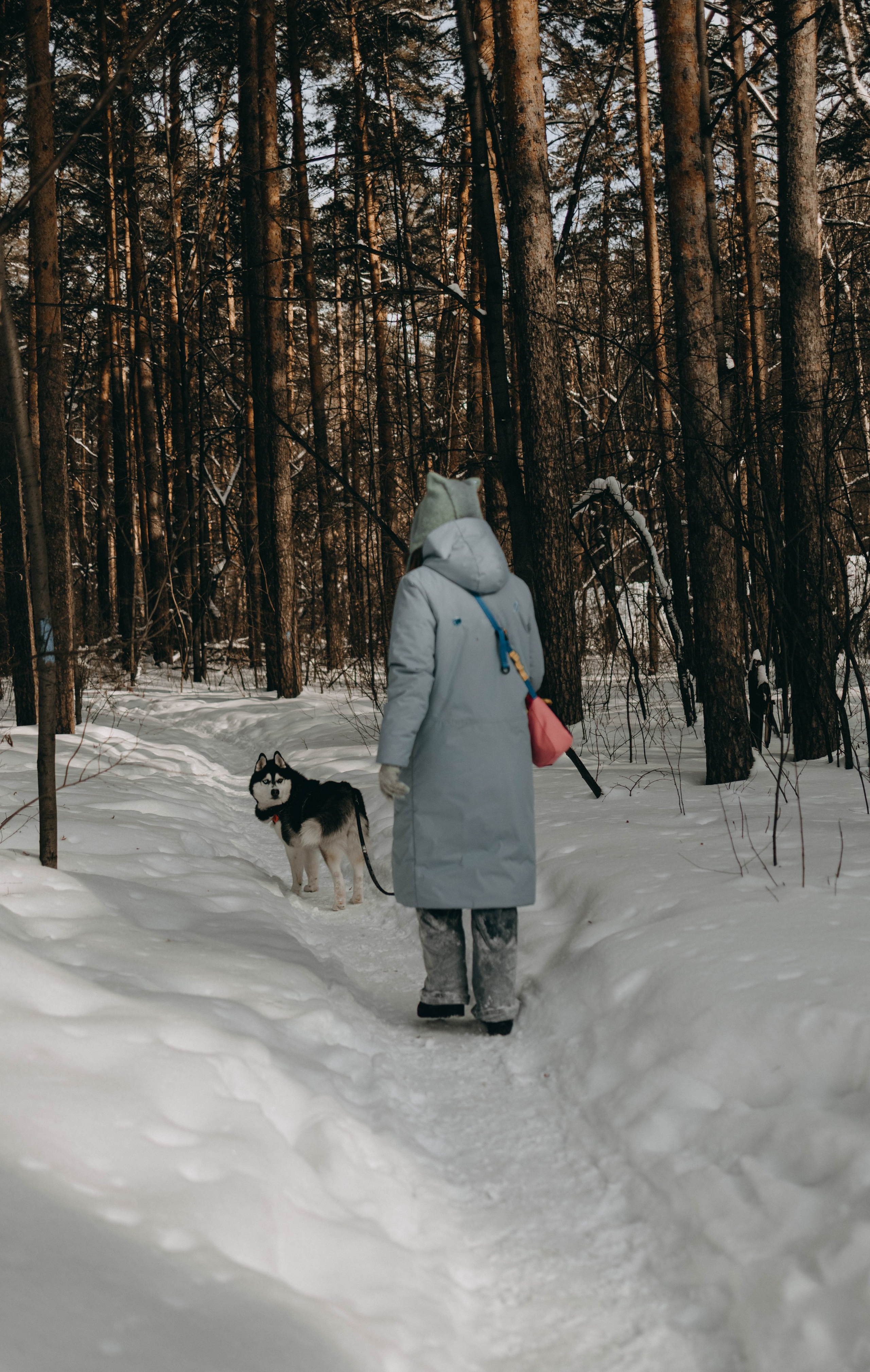 Анна и Вегас. Фотограф-анималист в Екатеринбурге | Кристина