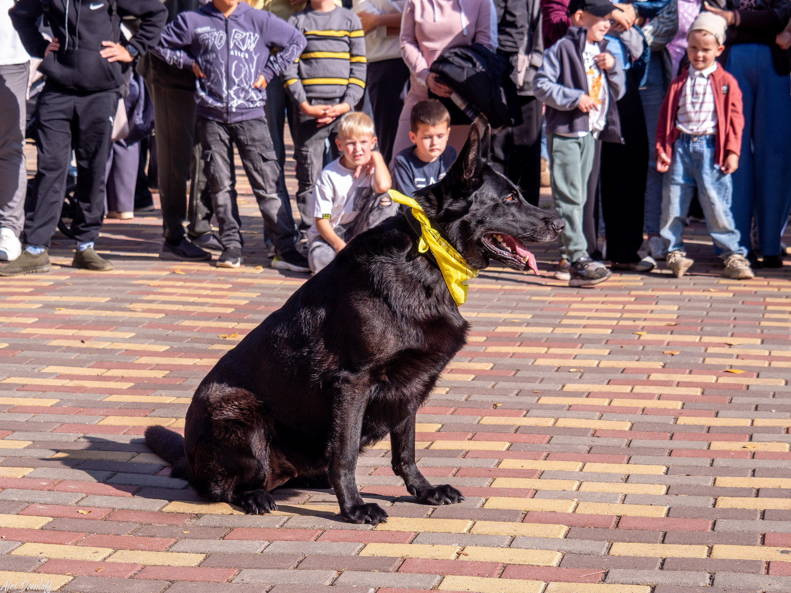 Обнимака 2025. Муром-Инфо. Новости культуры, образования, спорта в городе Муром