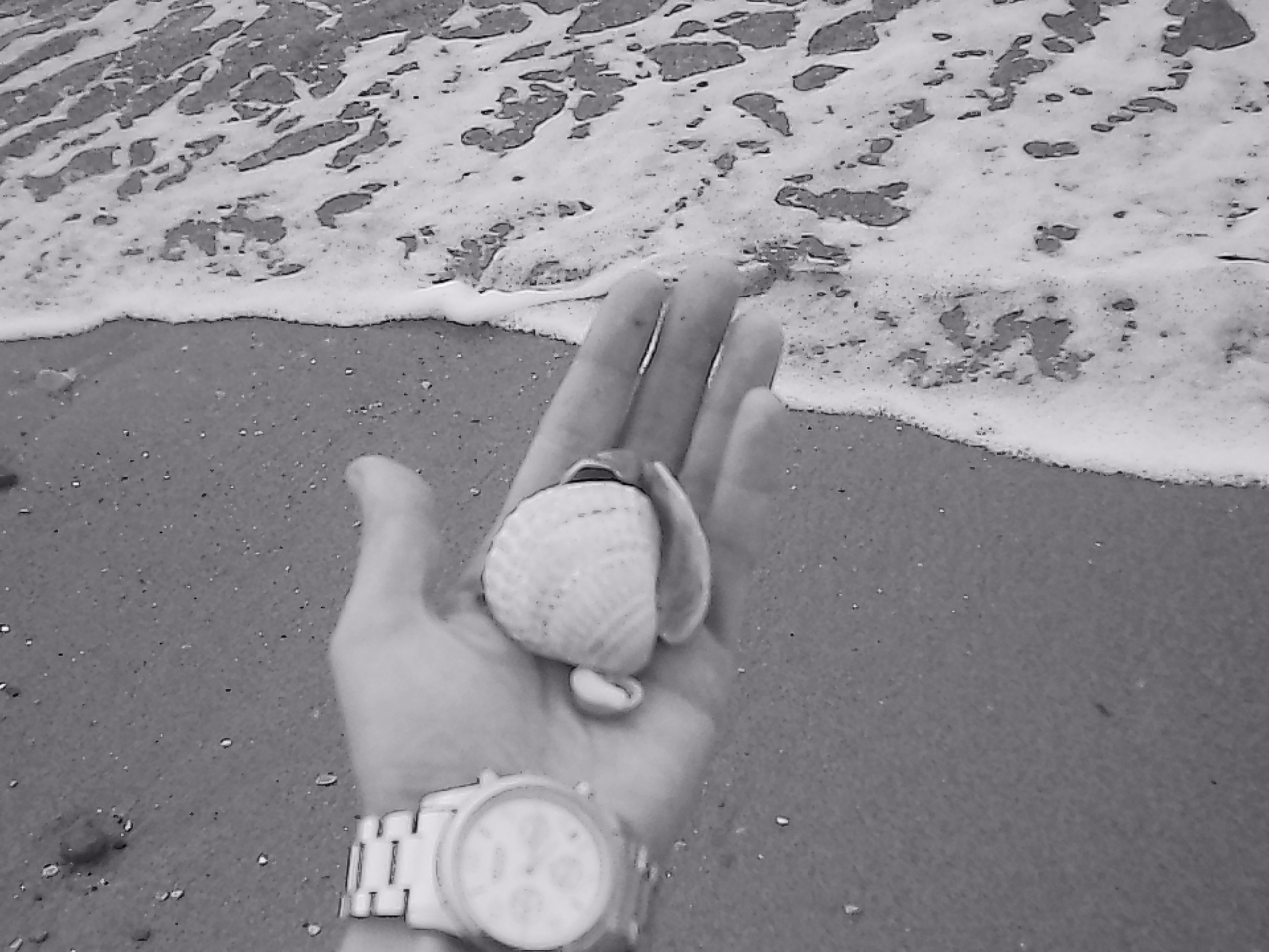 «Крошка 🐣». Anita_photo