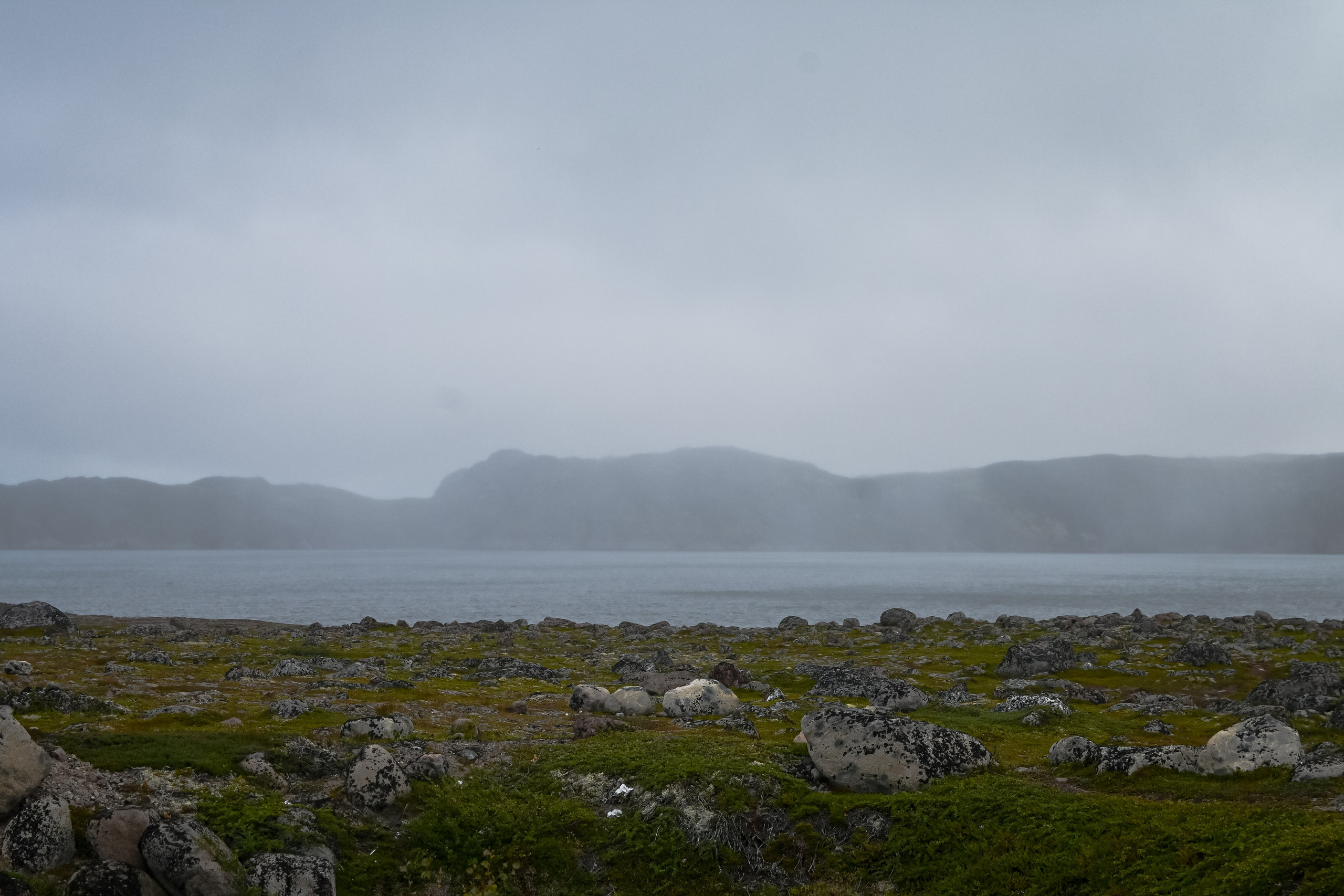  Фотограф: Ожерельев Лев