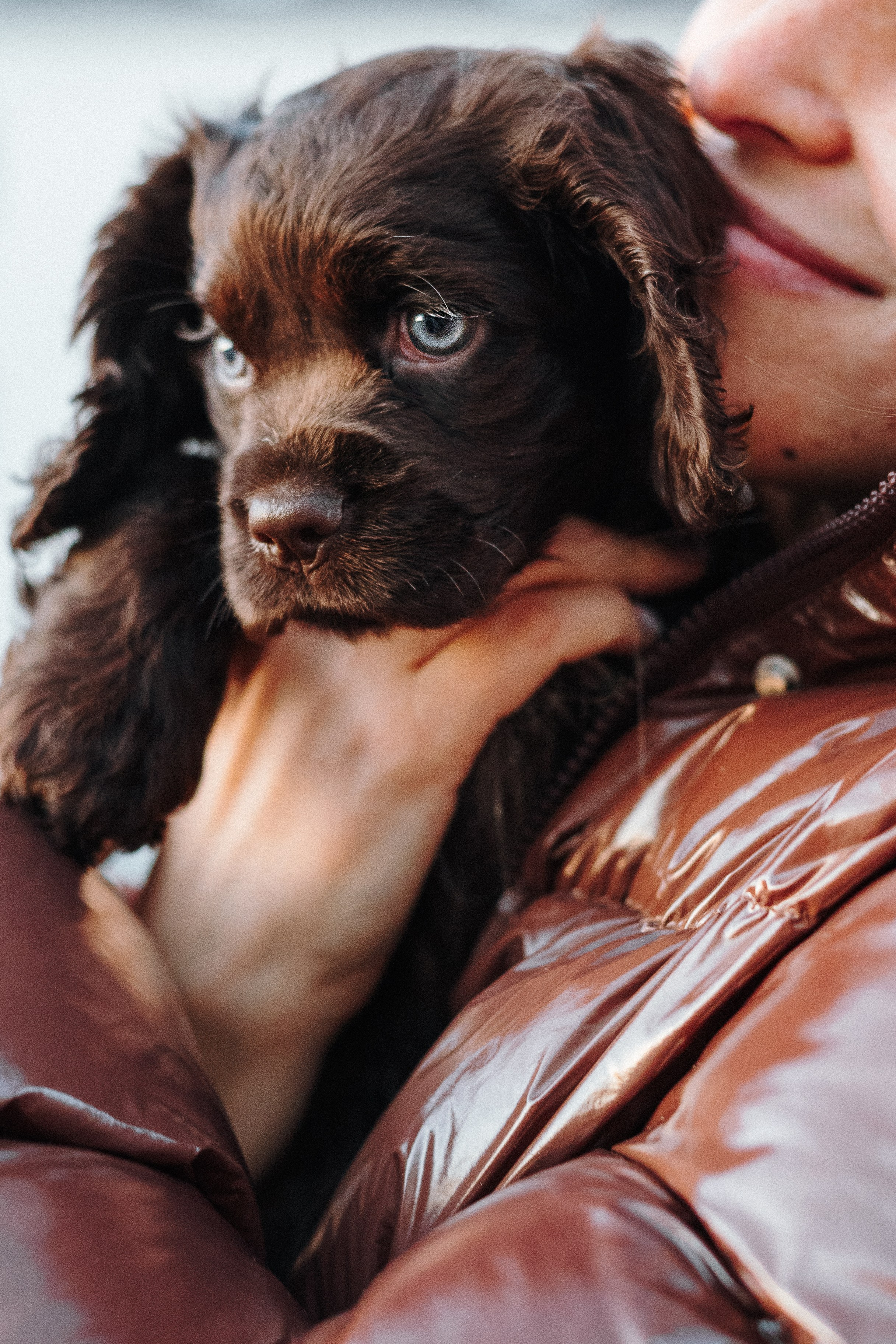 Mary & Busya’s first meeting. Natalia Finch Photography — Family, Kids & Pet Photographer in Chicago, IL