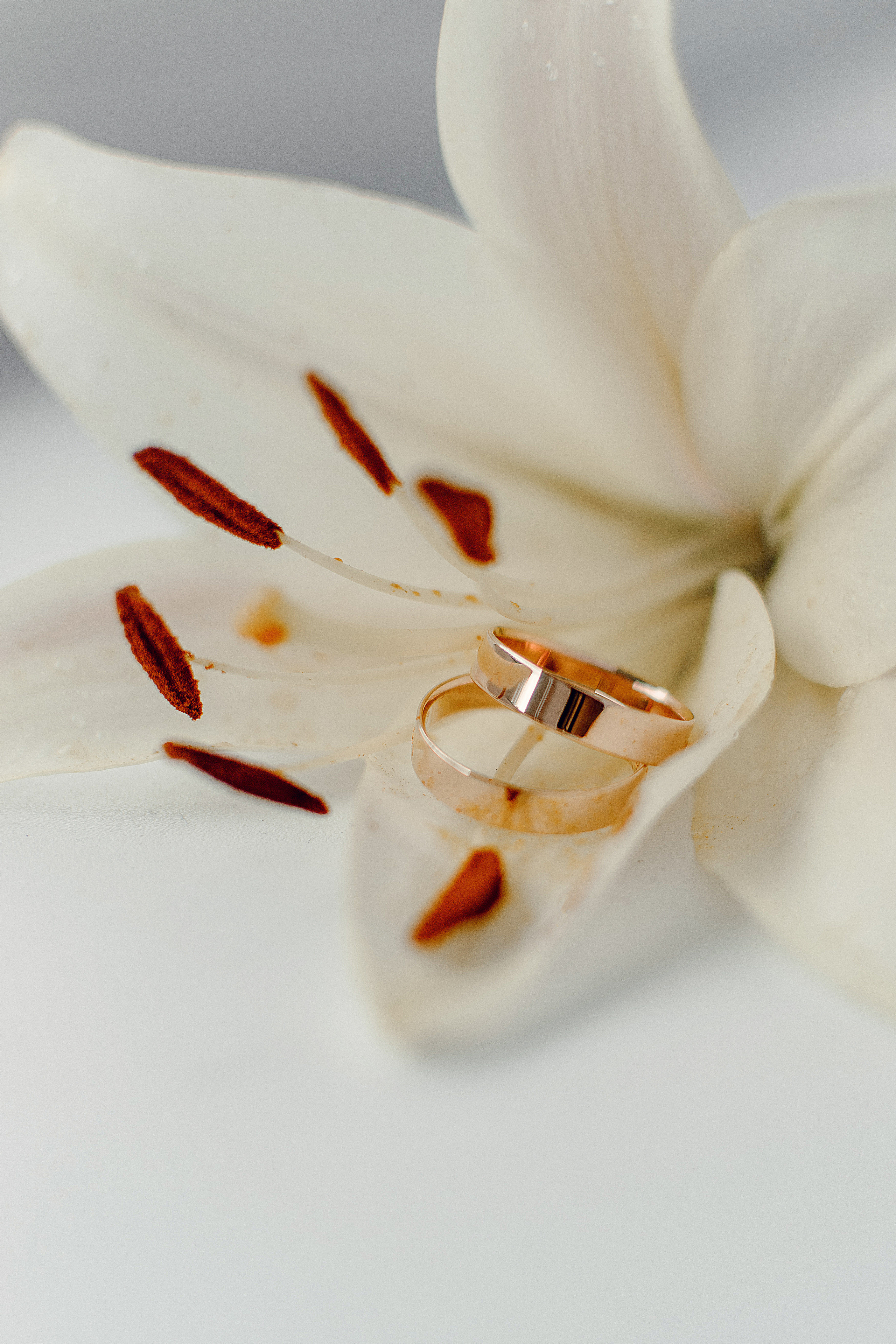 Валерия и Андрей. Свадебный и семейный фотограф в Смоленске и Ярцево Чурнасова Мария