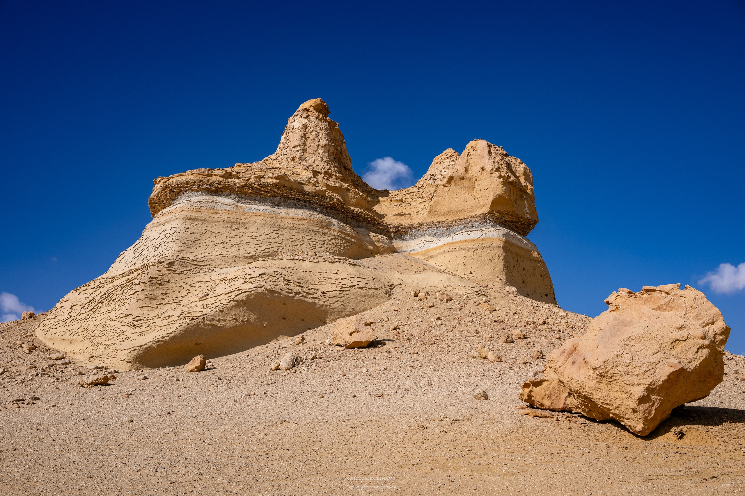 Снова в пустыню, за скелетами…. Авторские стильные фотокартины