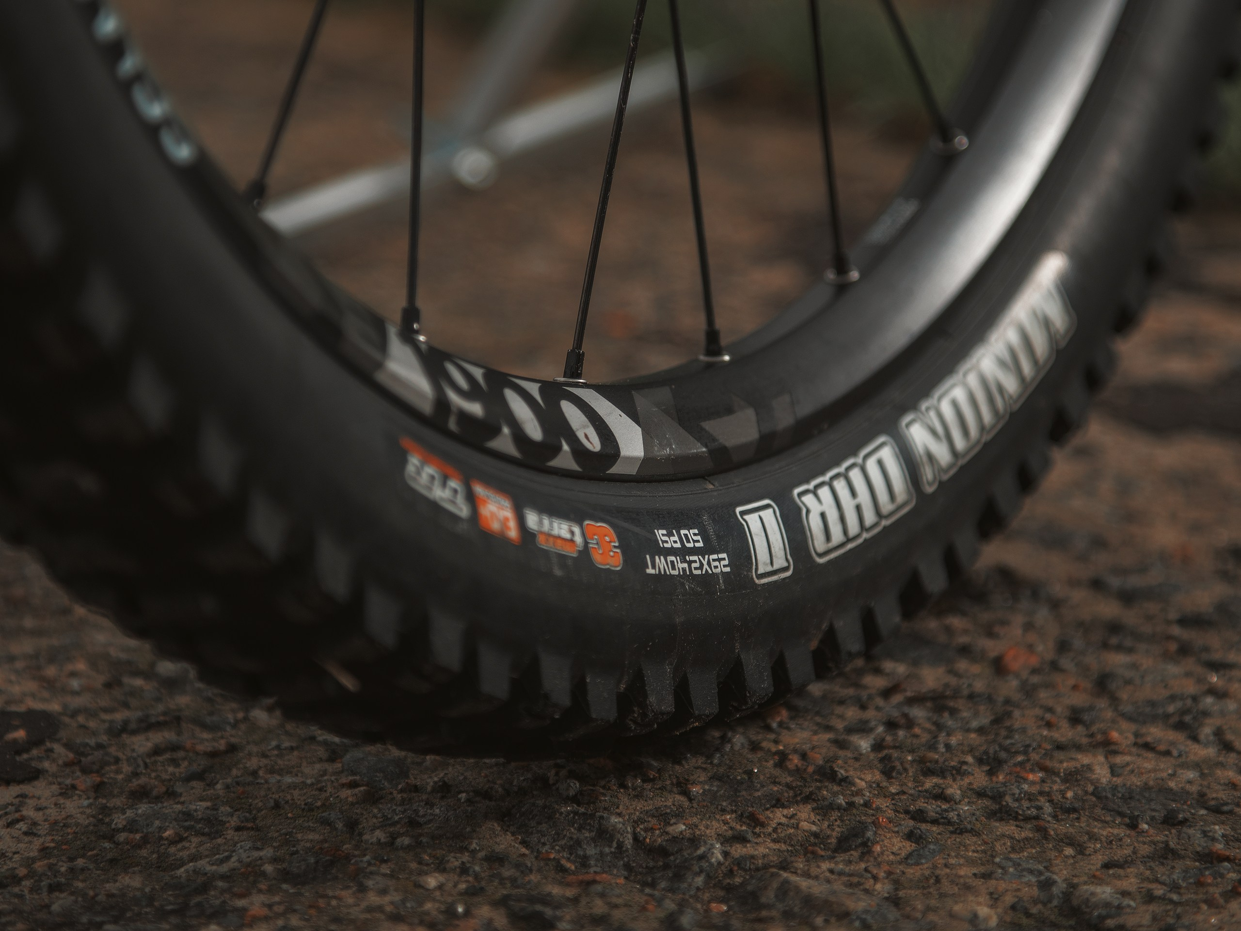 Mondraker. Фотограф анималист Никита Натальный