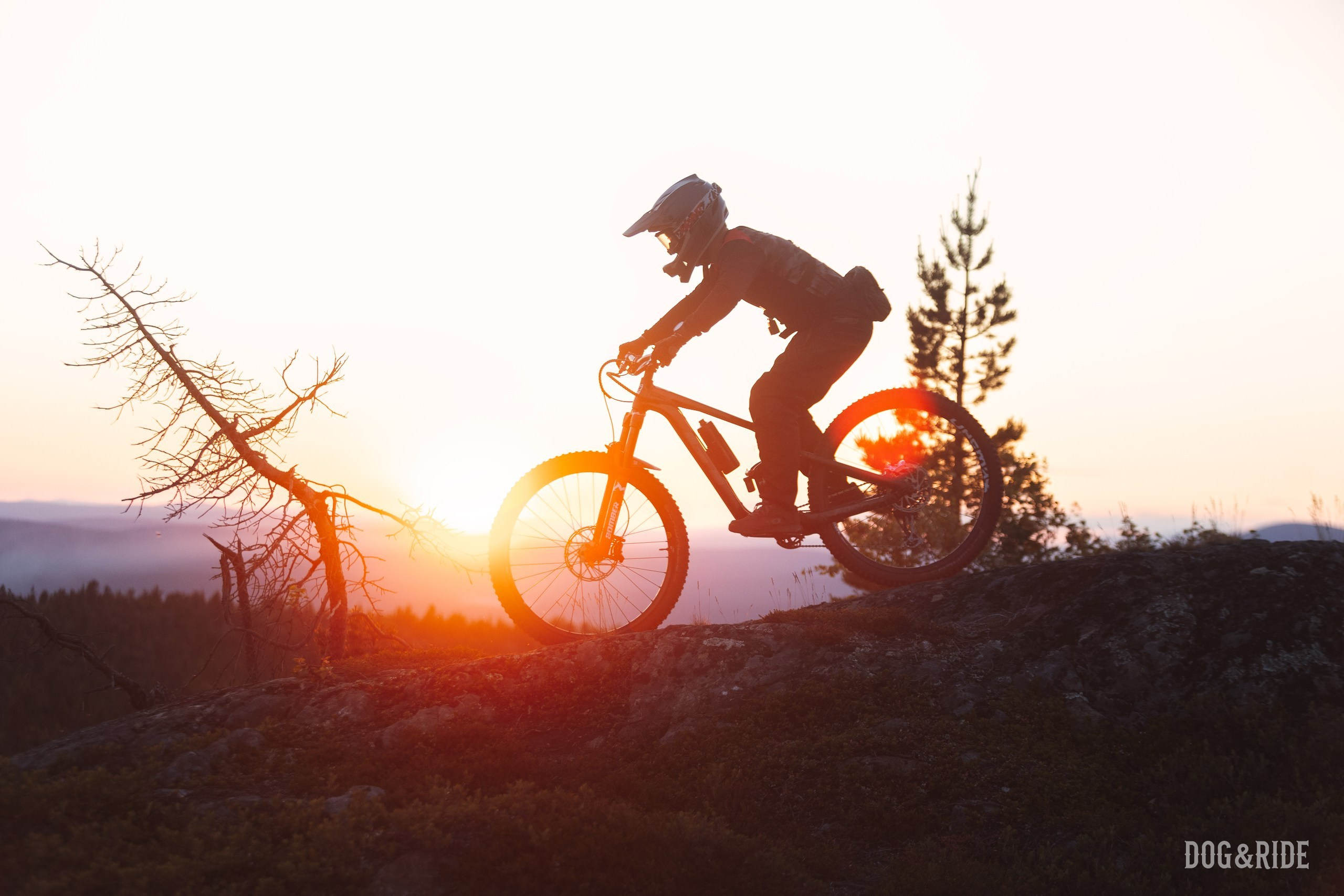 Кандалакшка. Фотограф анималист Никита Натальный