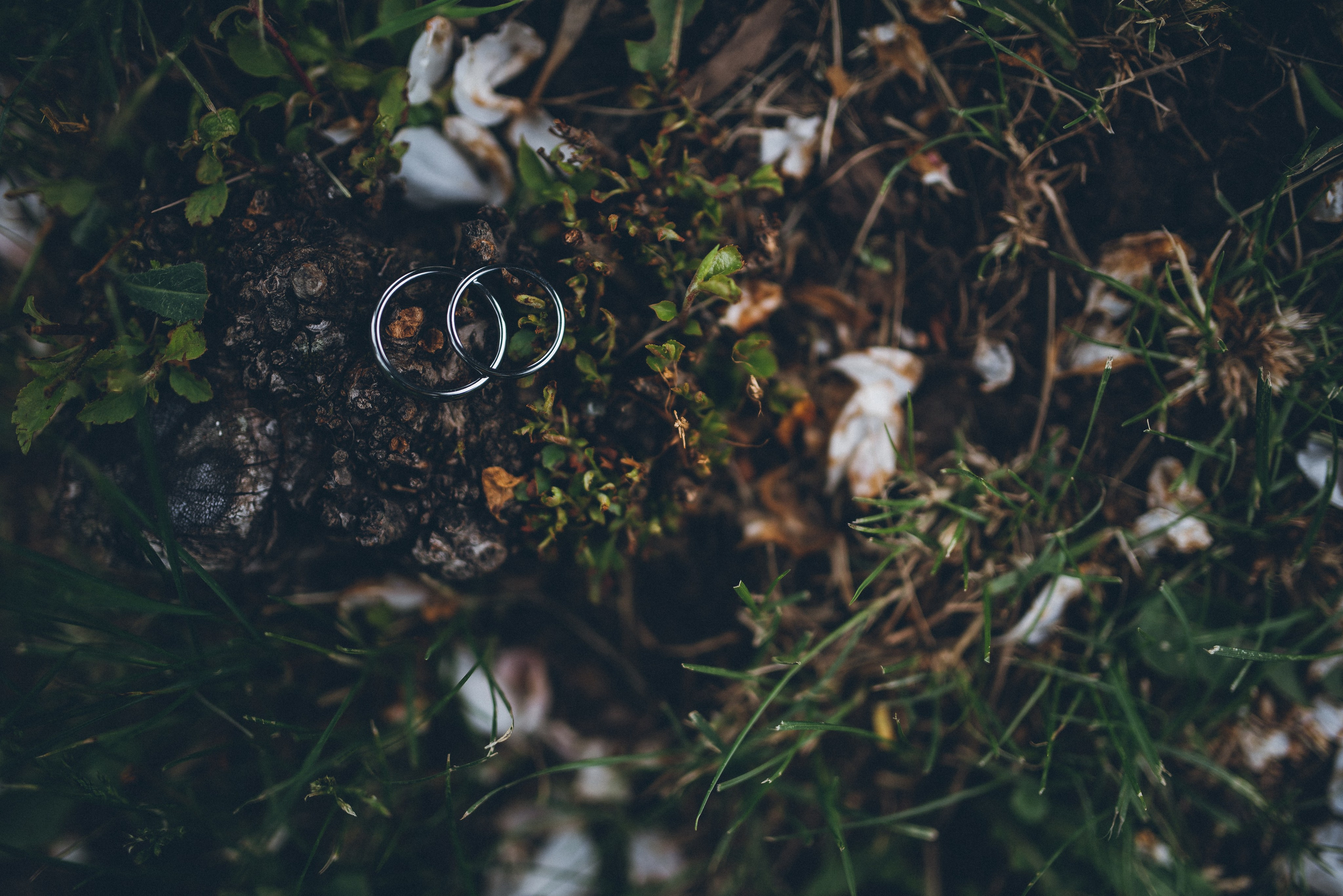 Свадебный и портретный фотограф Диана Першай