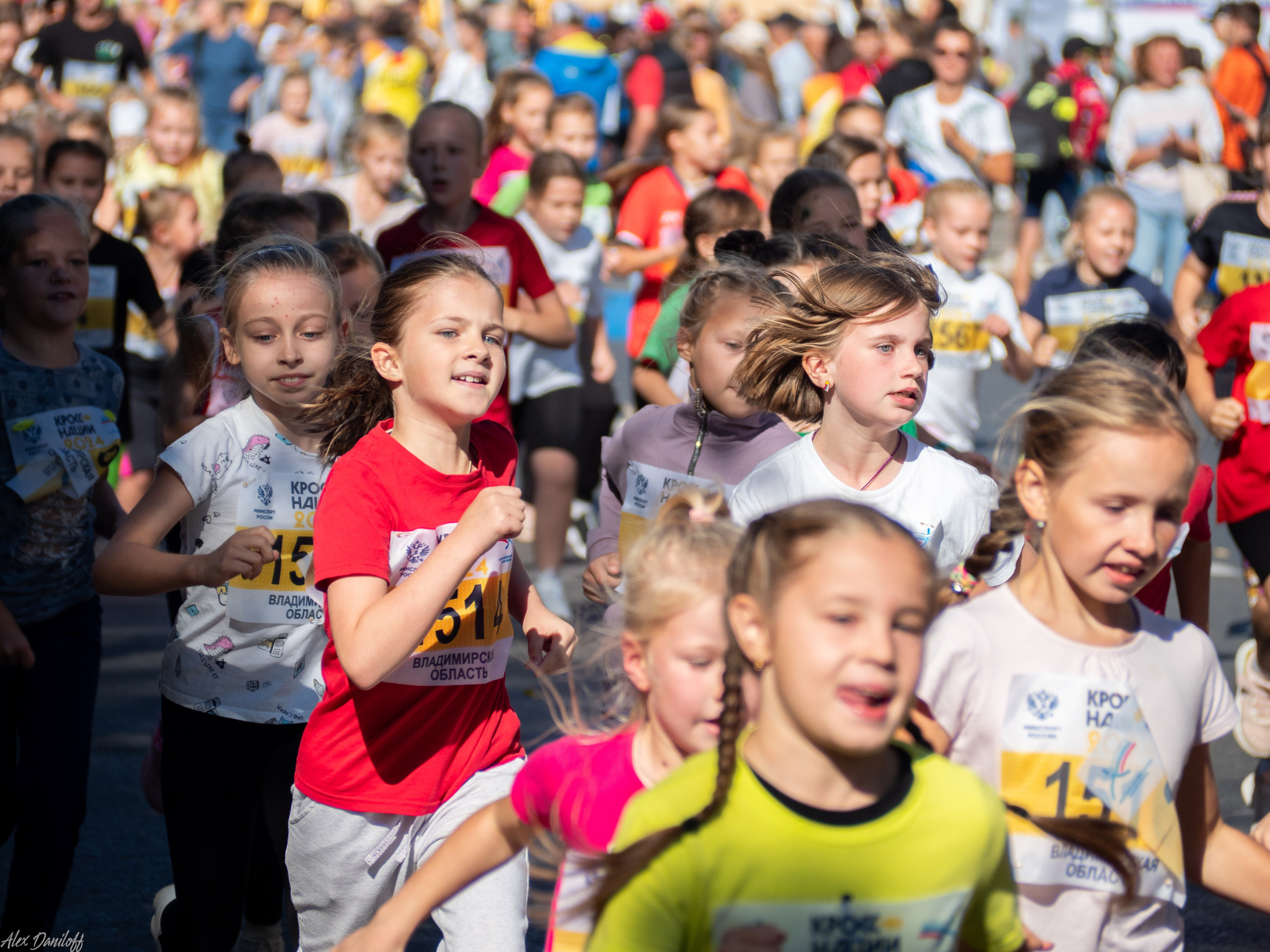 Кросс нации 2024. Муром-Инфо. Новости культуры, образования, спорта в городе Муром