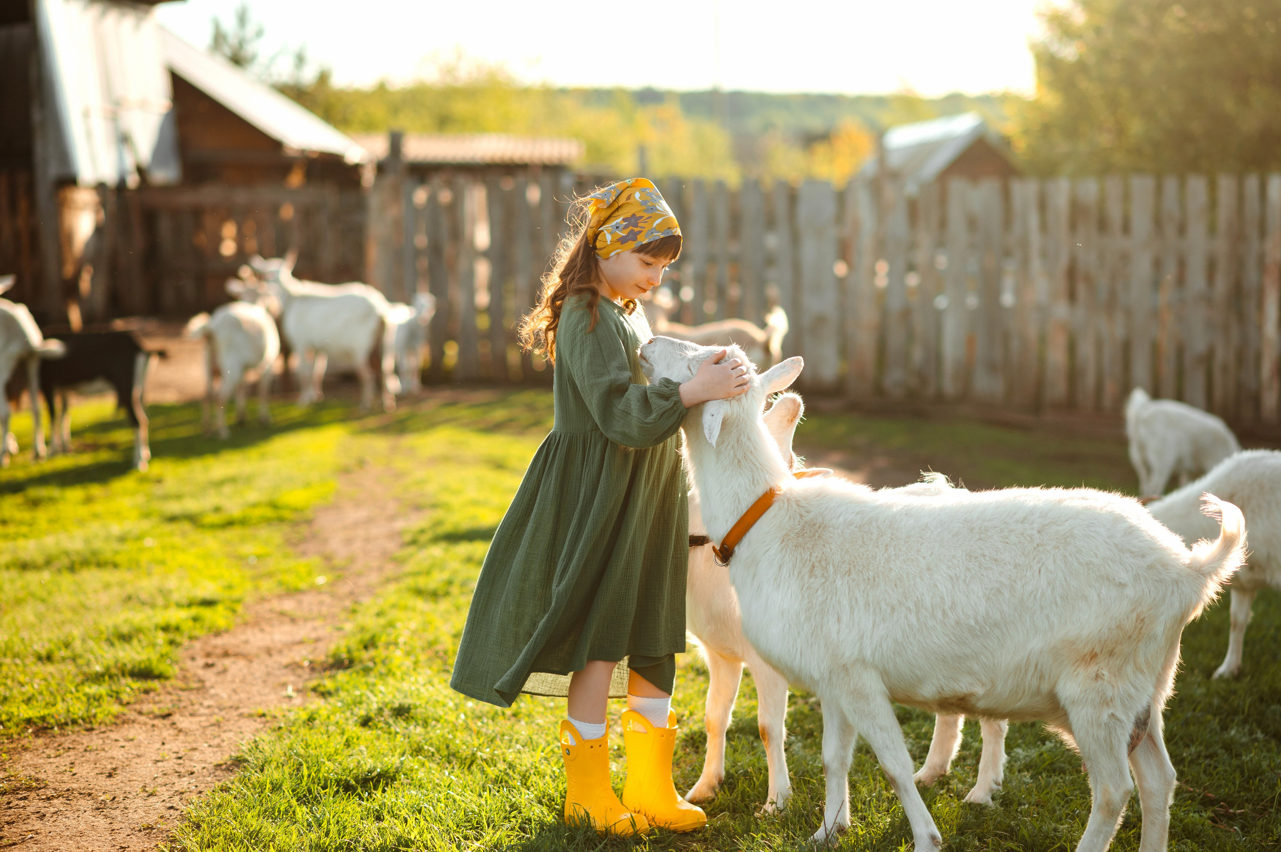 О любви к животным. Свадебный и семейный Фотограф в Пензе Татьяна Лапоногова