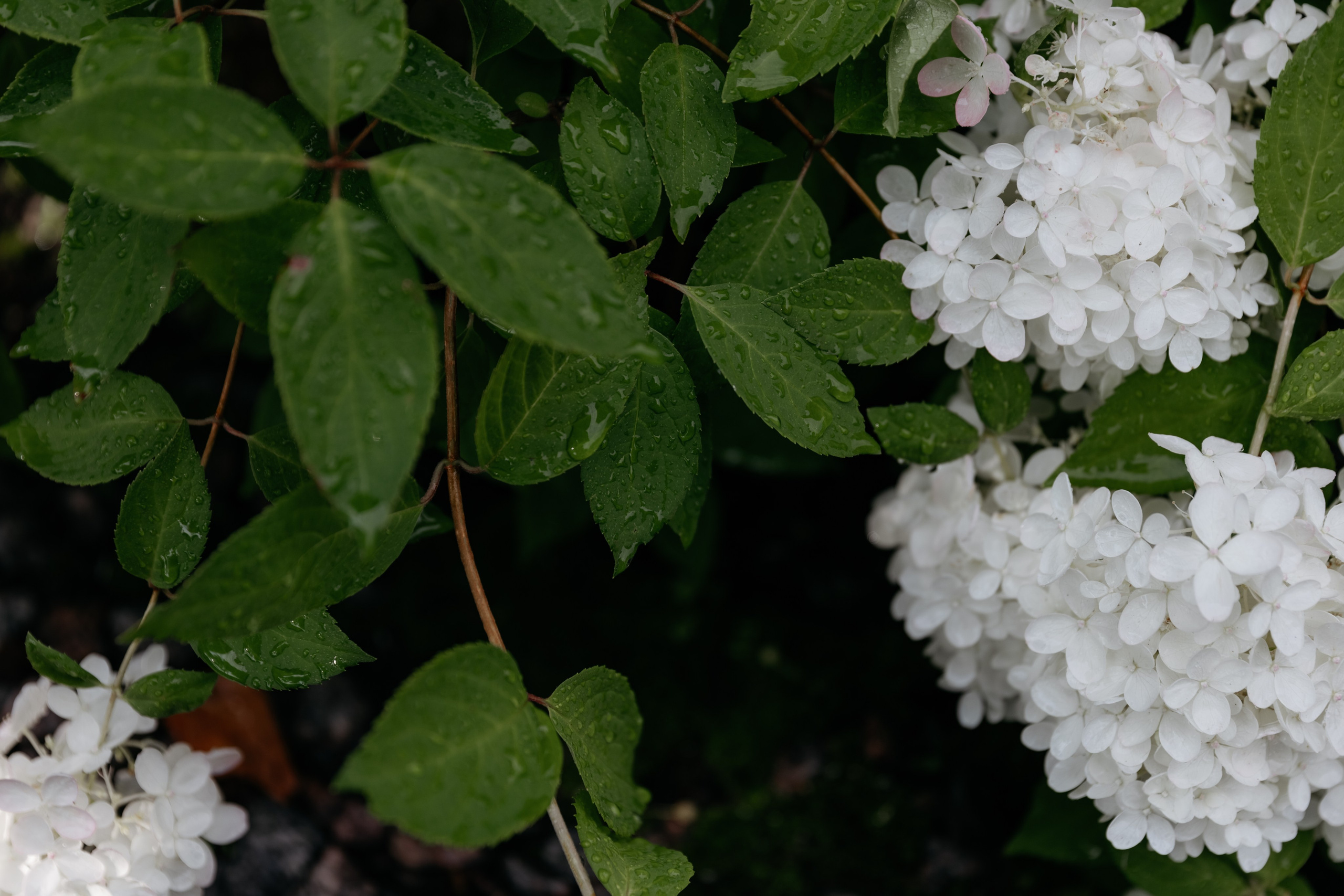 Любовь оставляет свой след. Свадебный и репортажный фотограф в Санкт-Петербурге