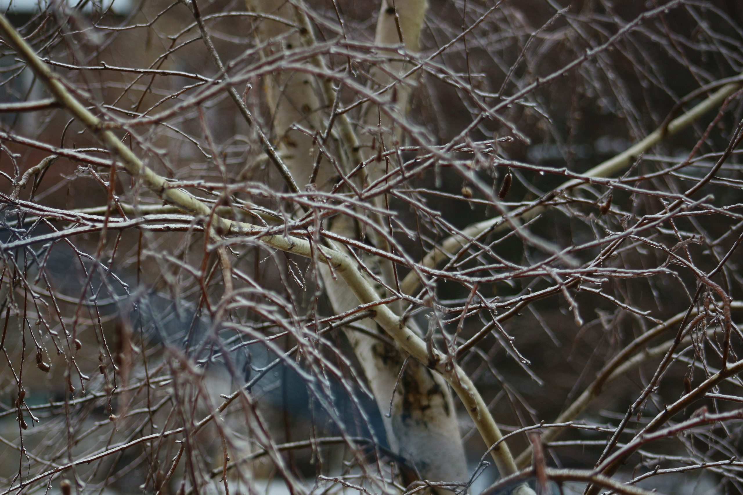 Пейзажи. Фотограф из Донецка Александр Турко