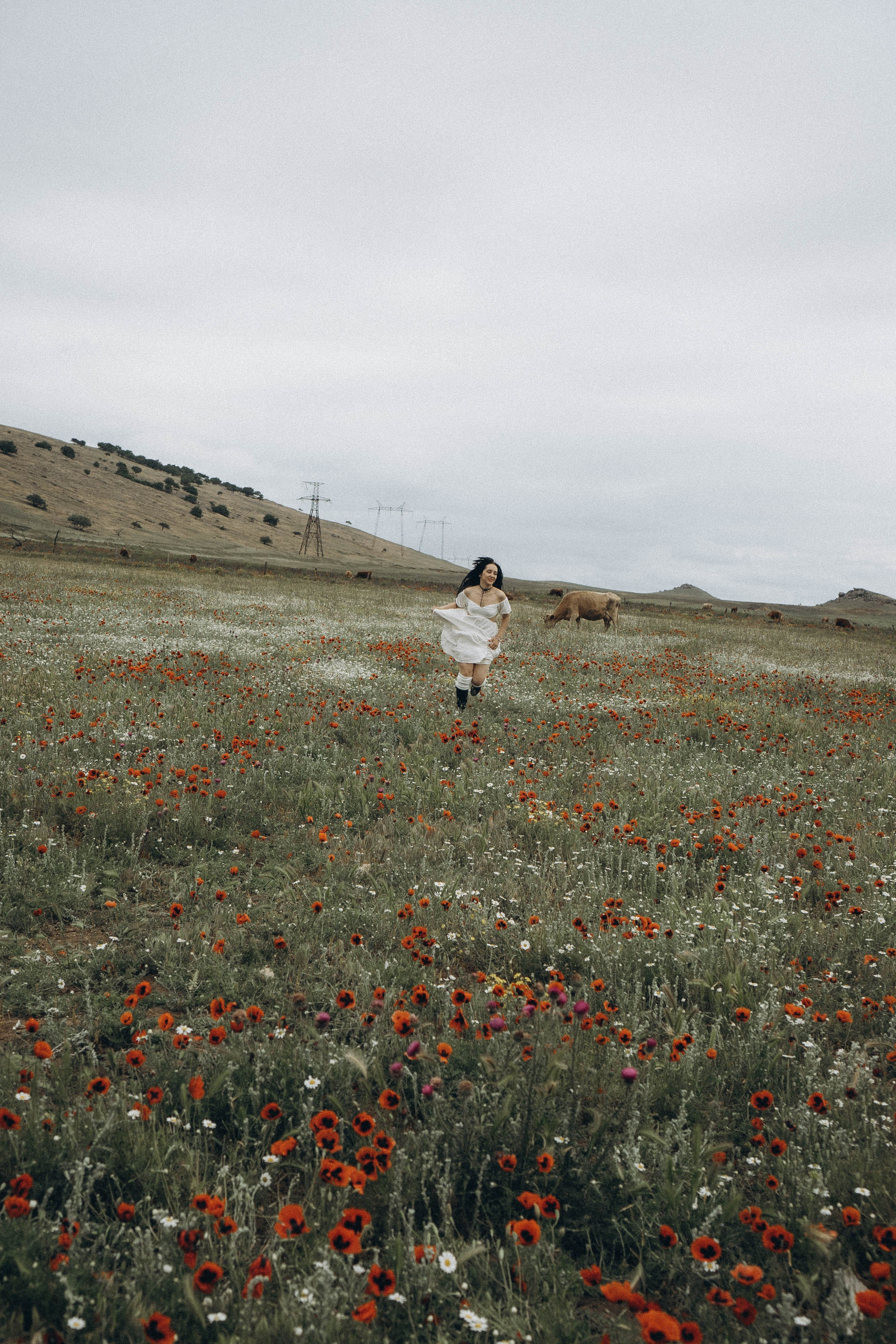 Маковое поле. Профессиональный фотограф, Санкт-Петербург — Виктория Богомолова