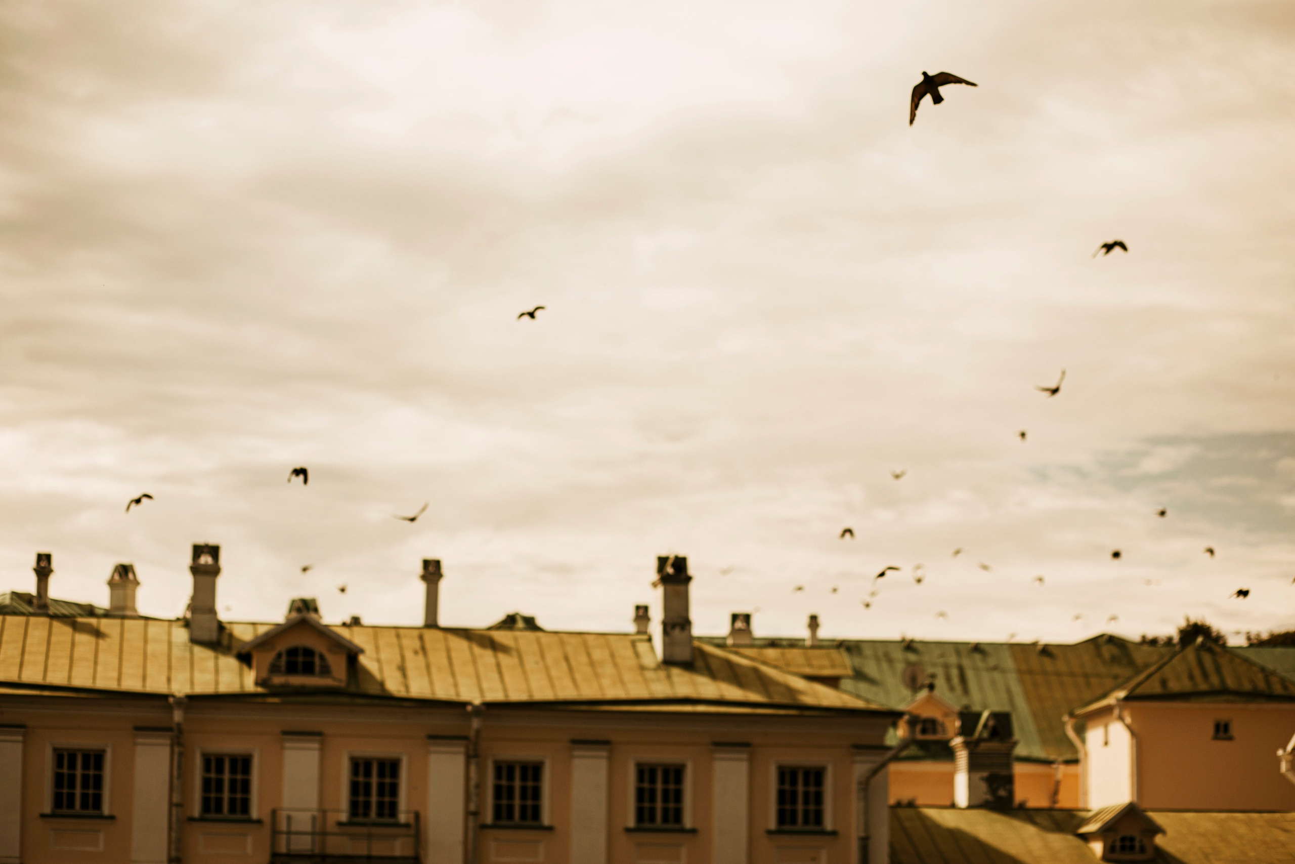 Посад. Ваш портретный фотограф в Москве Катя Прокофьева