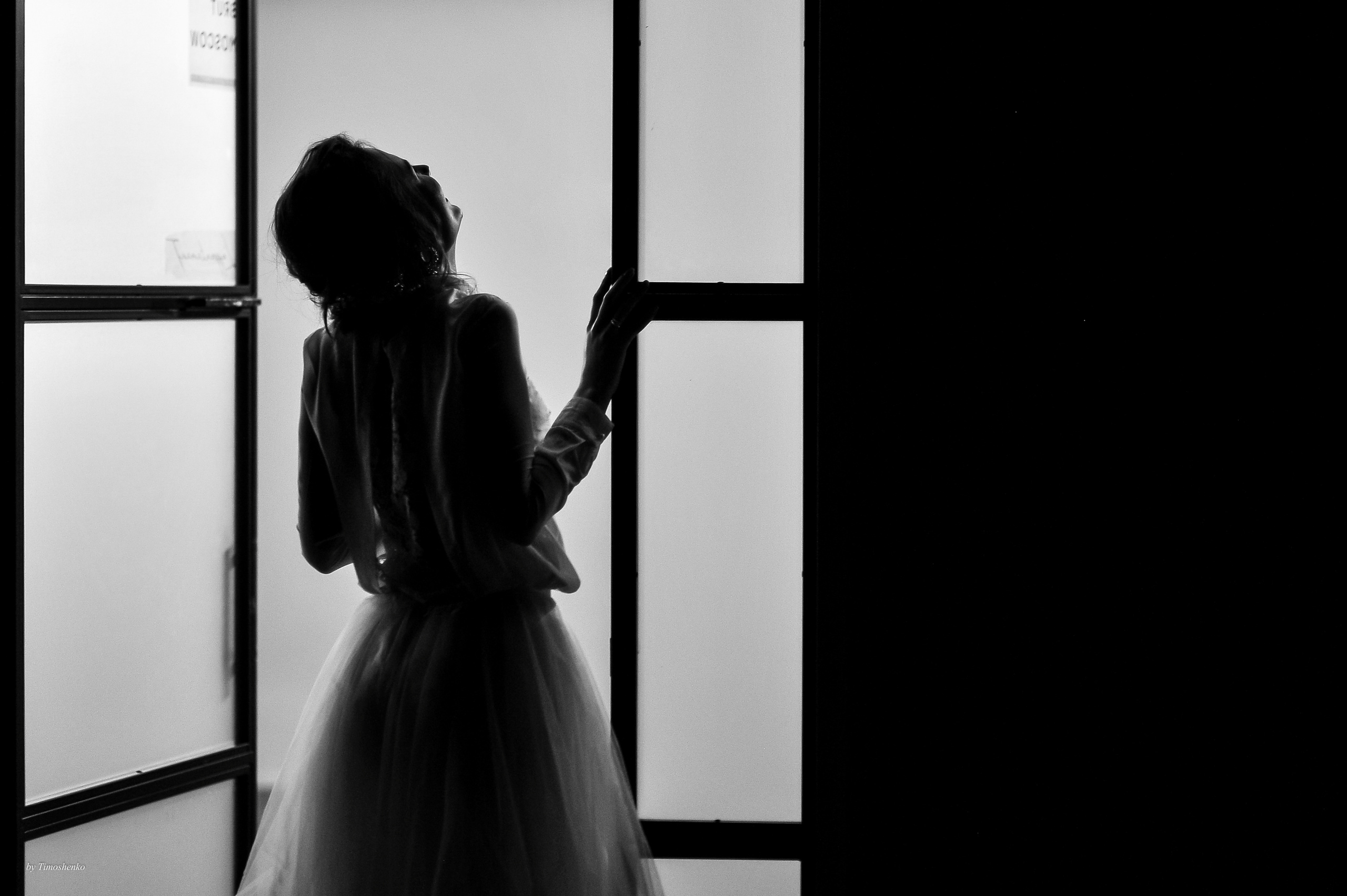 Свадьба. Фотограф в Москве Дмитрий Тимошенко