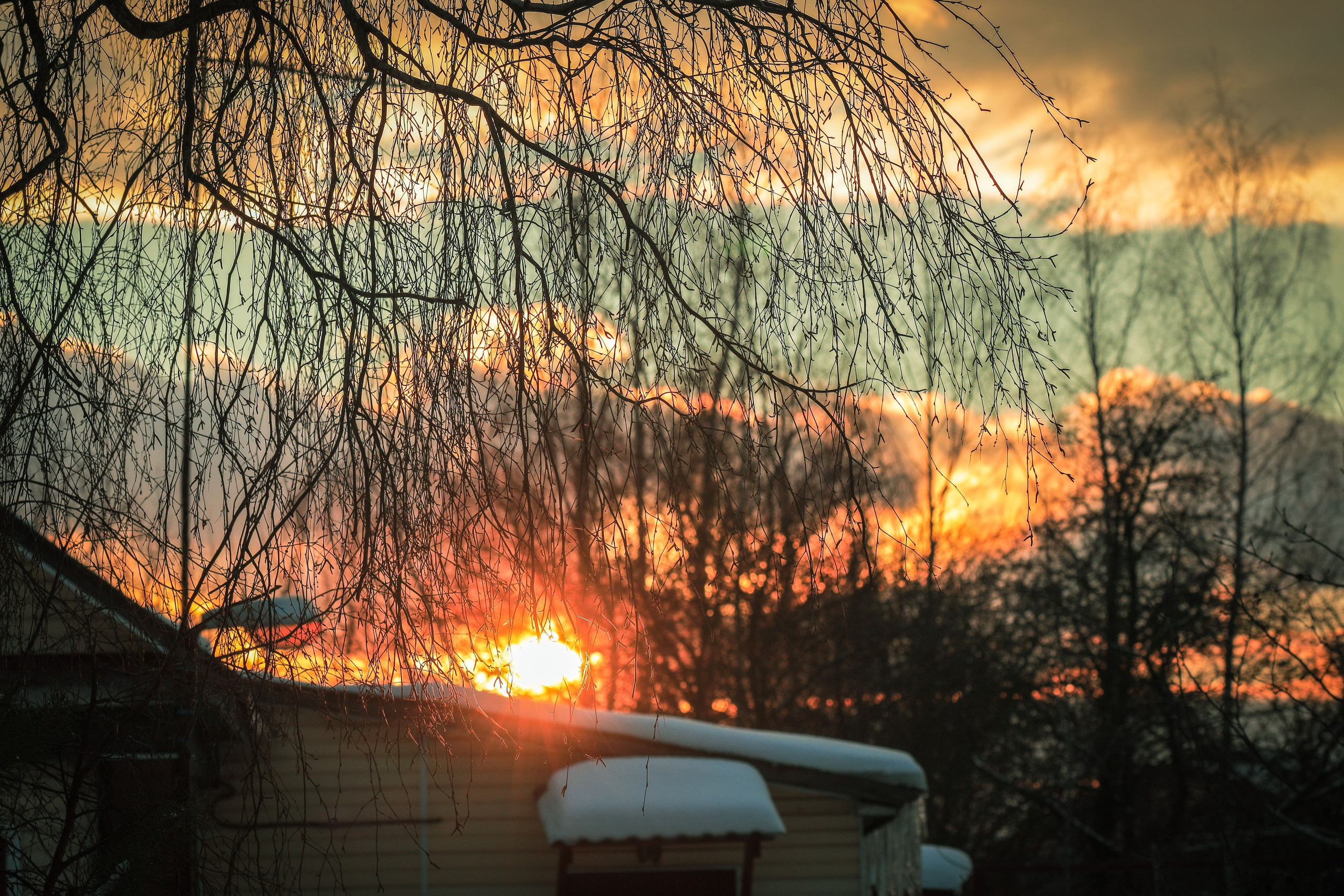 Прогулка цвет. Фотограф художник модель Юра Козлов Москва