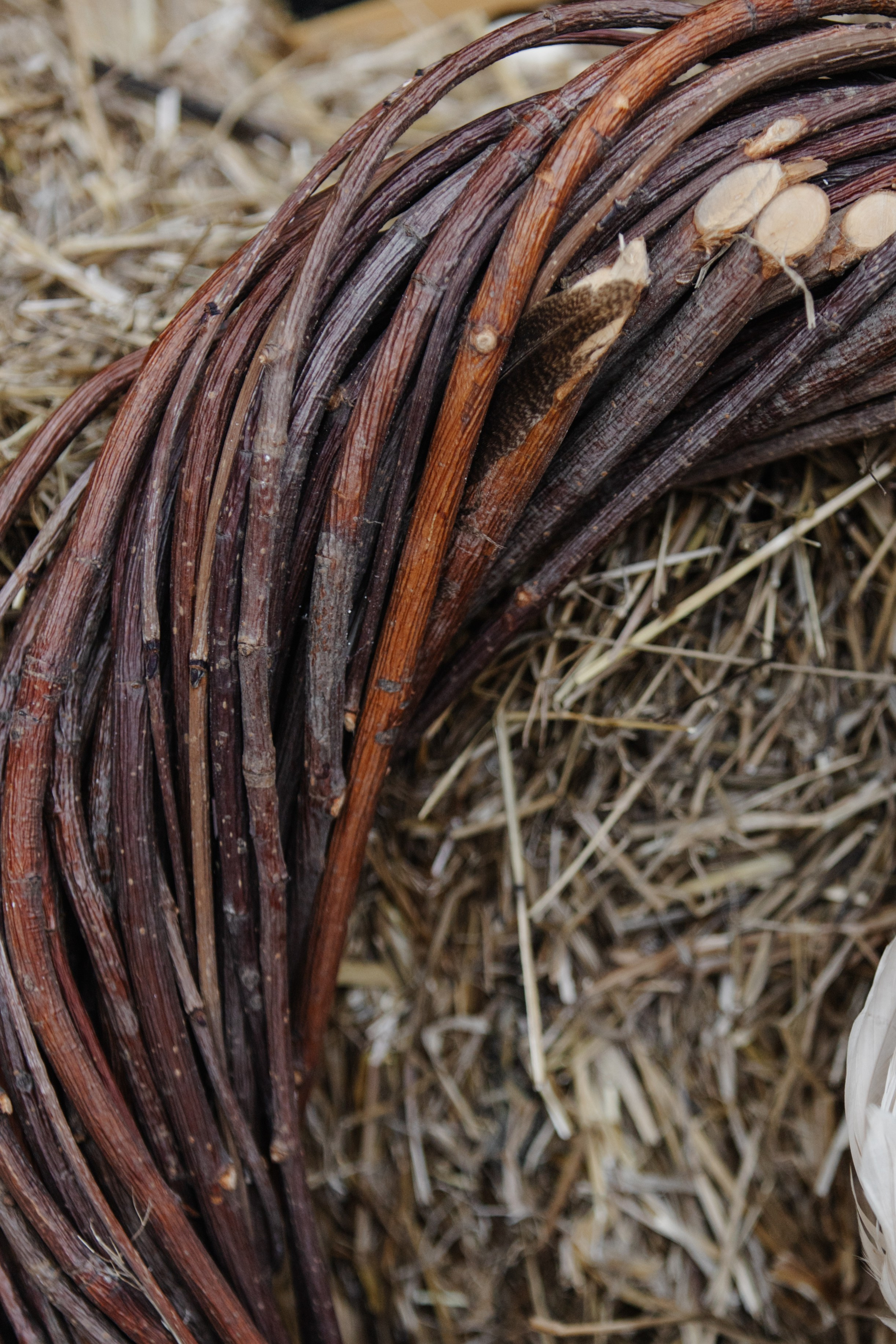 ГРЕНАДА. Фотограф в Красноярске