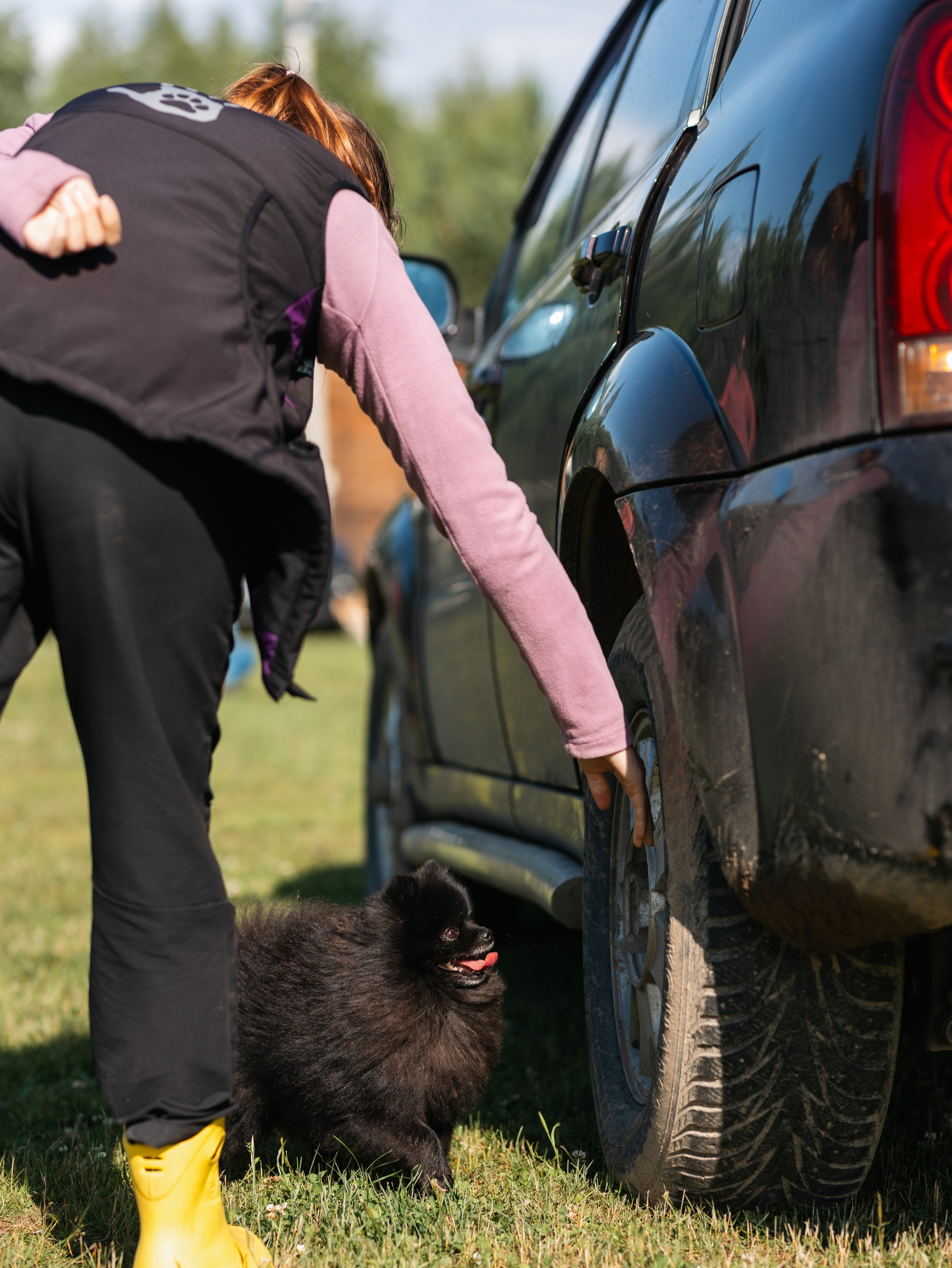 Лагерь ноузворк. Фотограф-анималист в Москве Кириллова Татьяна