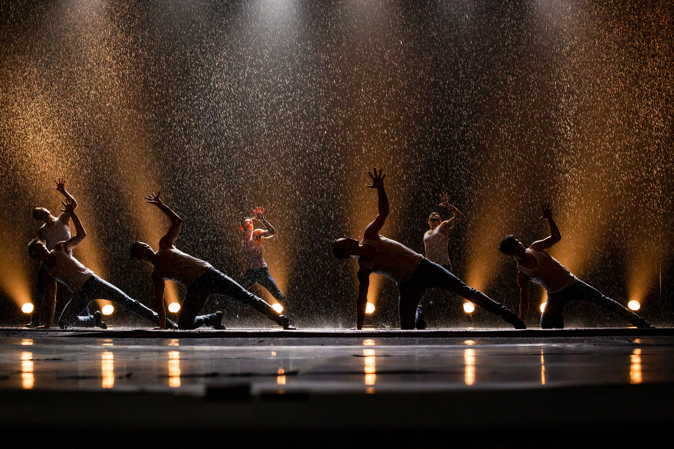 Концерты. Профессиональный фотограф в Санкт-Петербурге Алена Яшина
