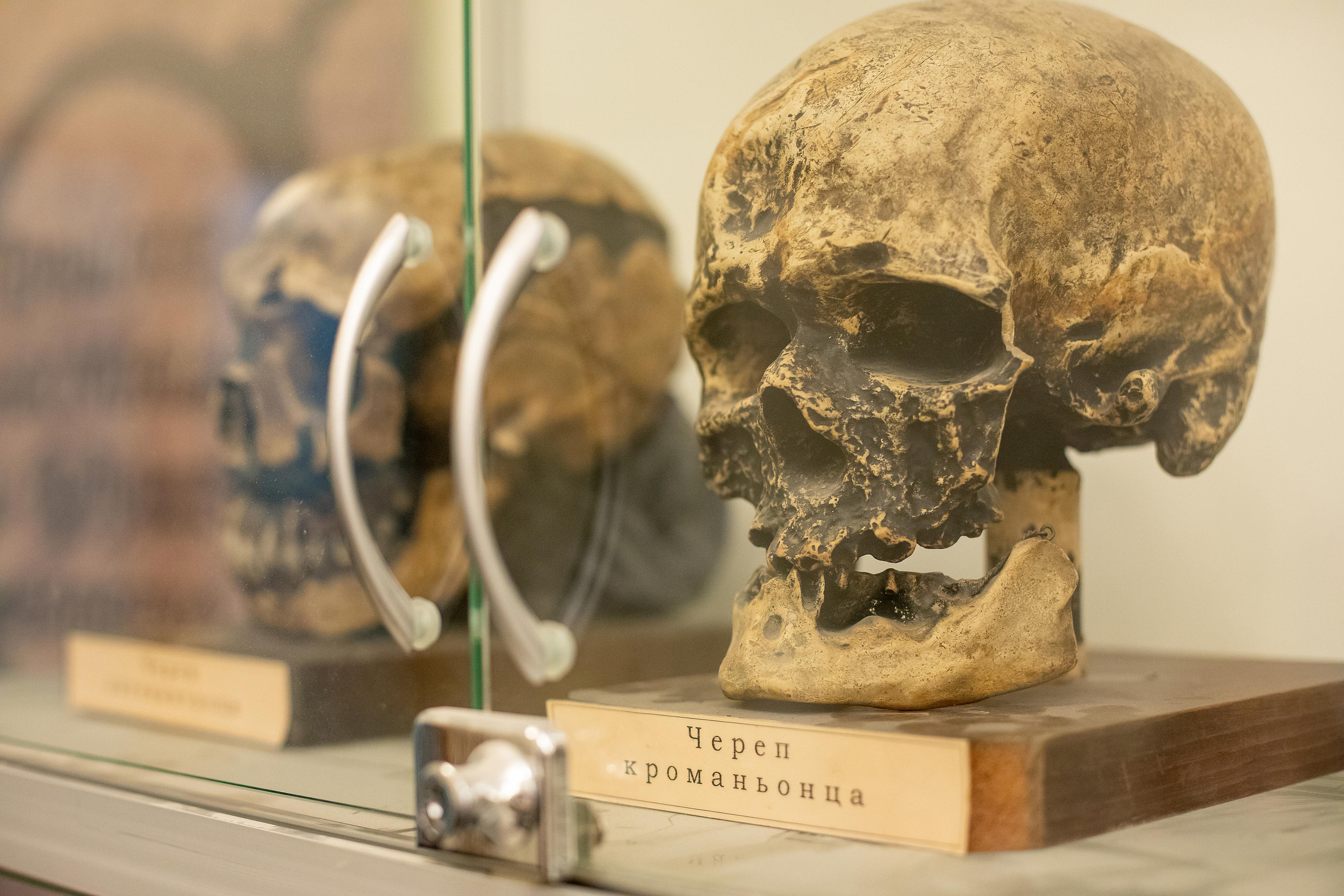 Конференции. Профессиональный фотограф в Санкт-Петербурге Алена Яшина