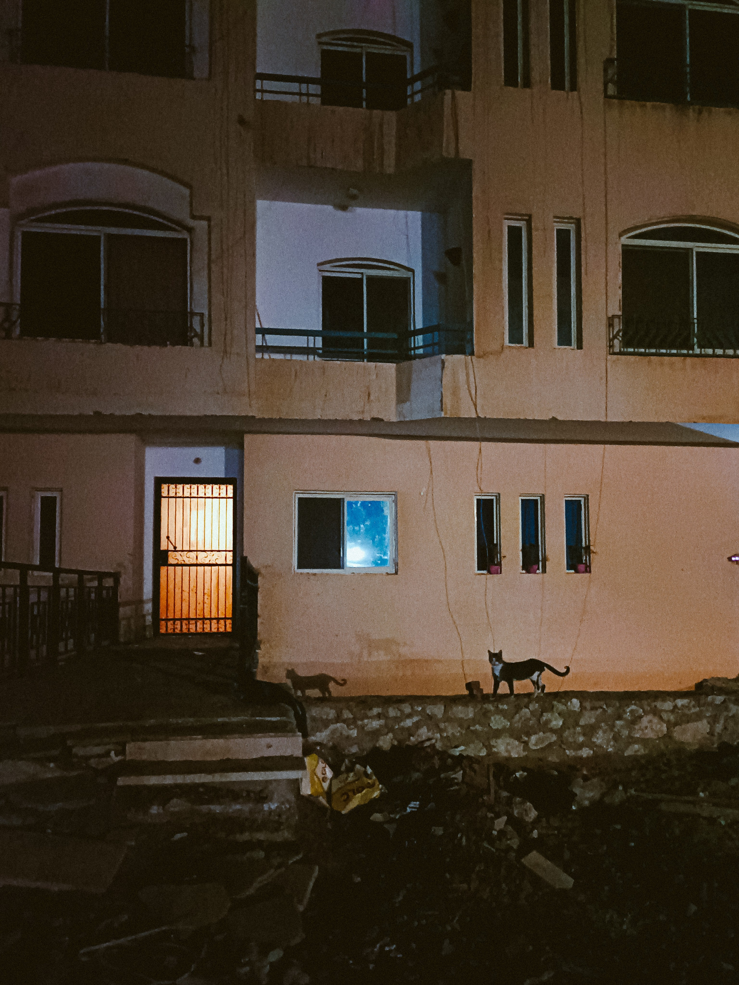 Мобильная. Jorgis — фотограф в Хургаде / обучение фотографии