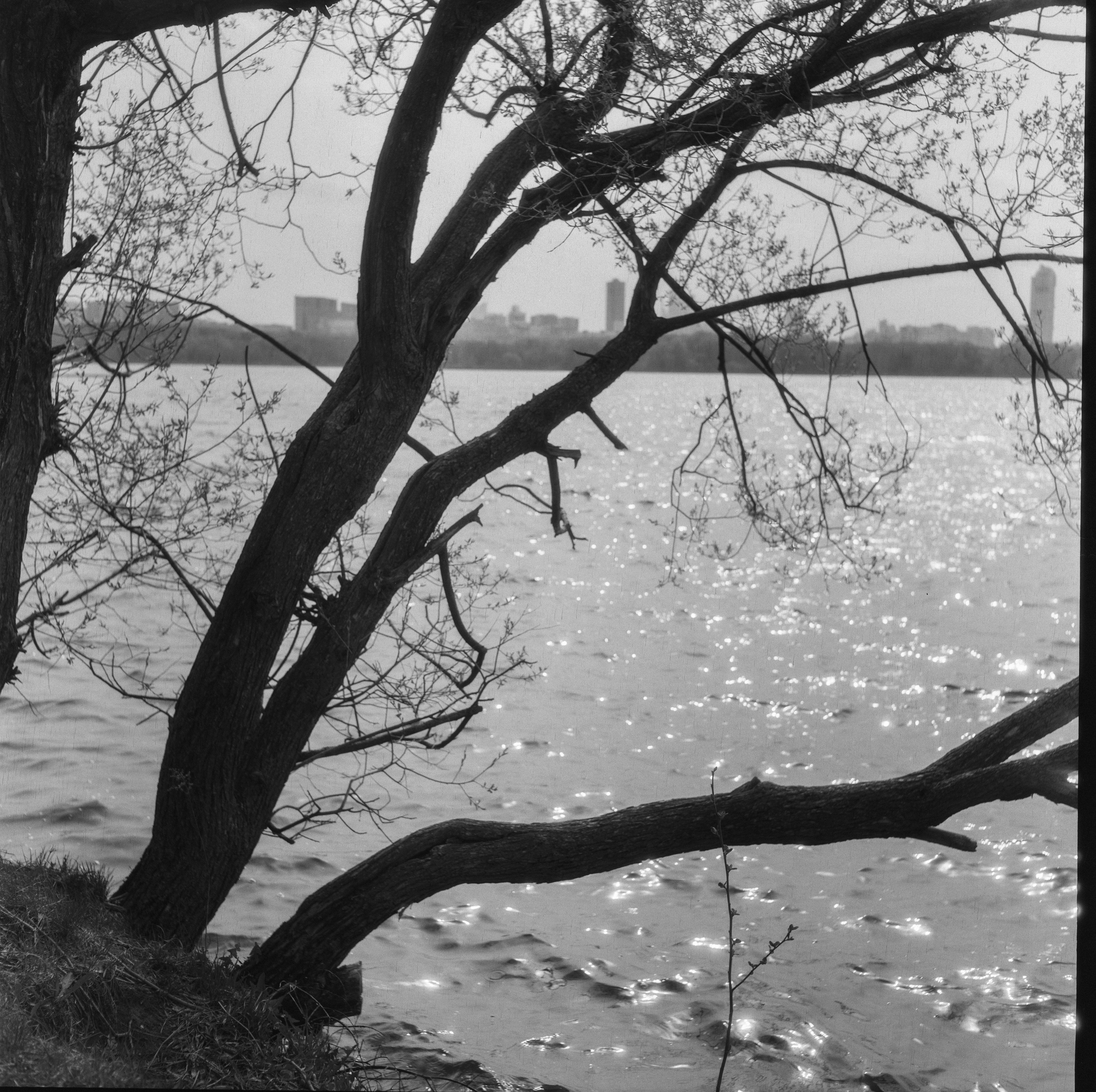 Minolta Autocord / Kodak Double-X 2405 aerographic