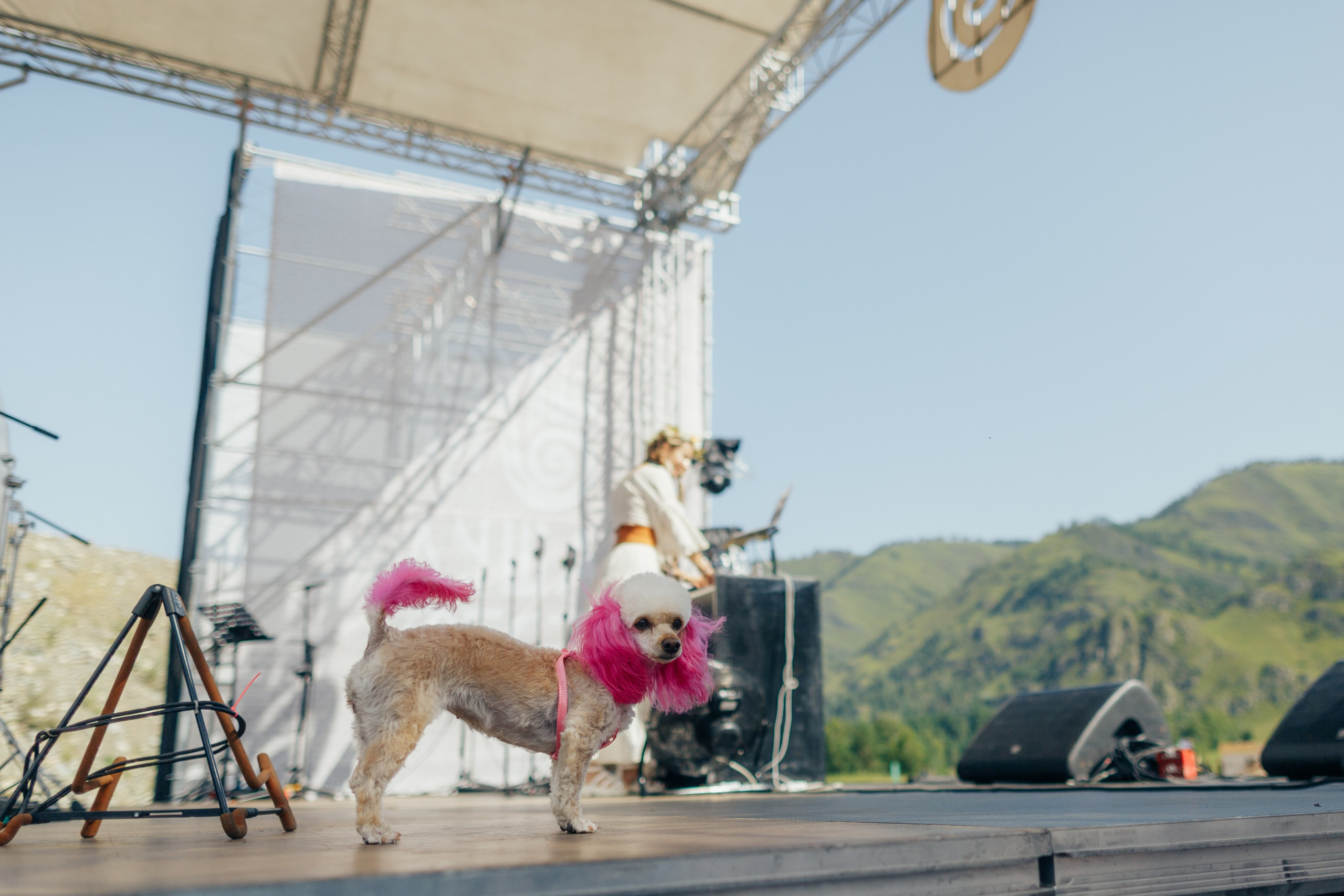 Профессиональный фотограф Виктор Гагарин. Сниму круто ваше мероприятие в Новокузнецке, Кемерово, Новосибирске, Алтае. Профессиональный фотограф Виктор Гагарин — Промышленная, Event, Портретная, Репортажная съемка в Новокузнецке, Кемерово, Новосибирске