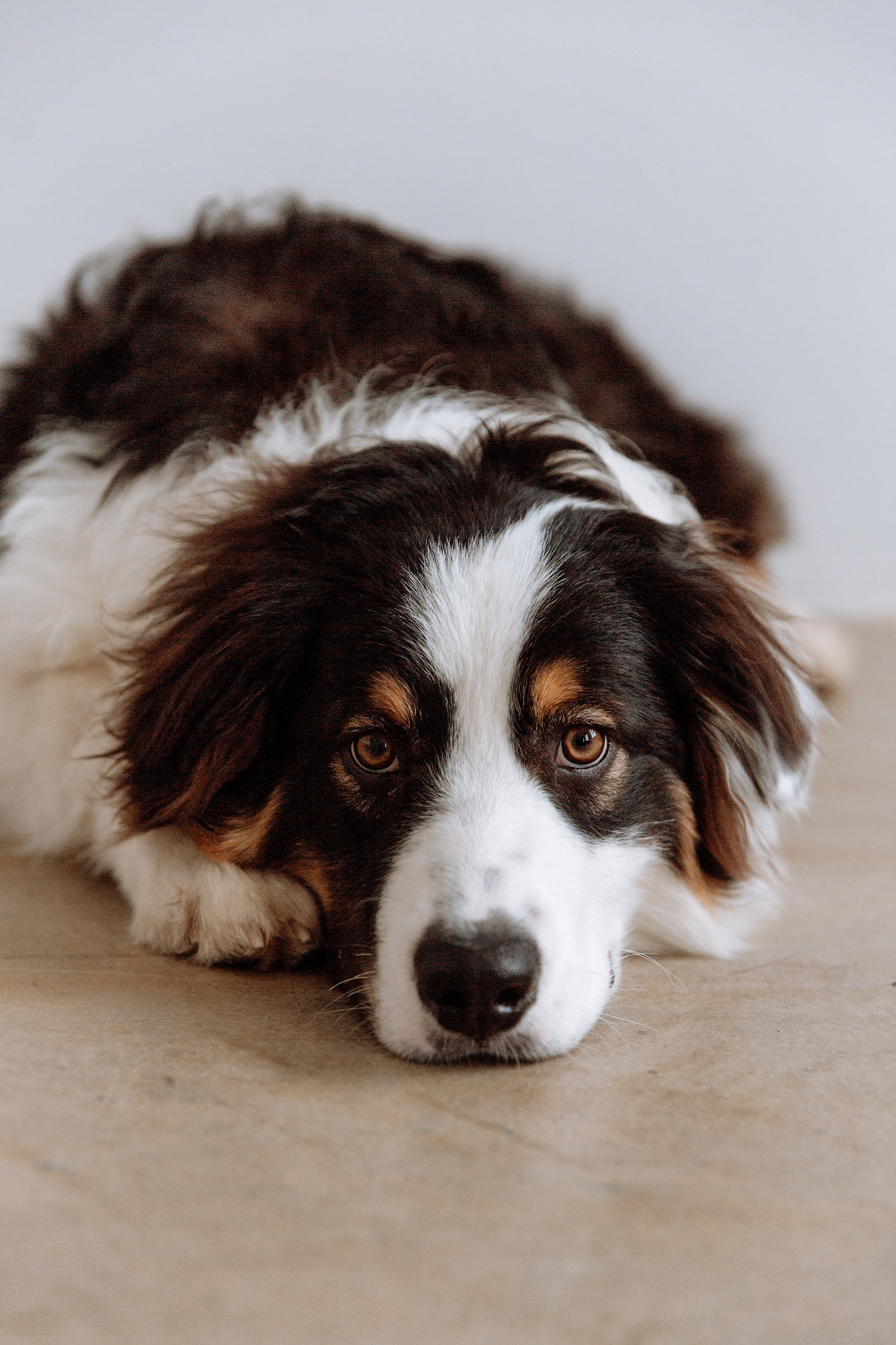 . Свадебный и семейный фотограф Казань Чебоксары Ртищева Евгения