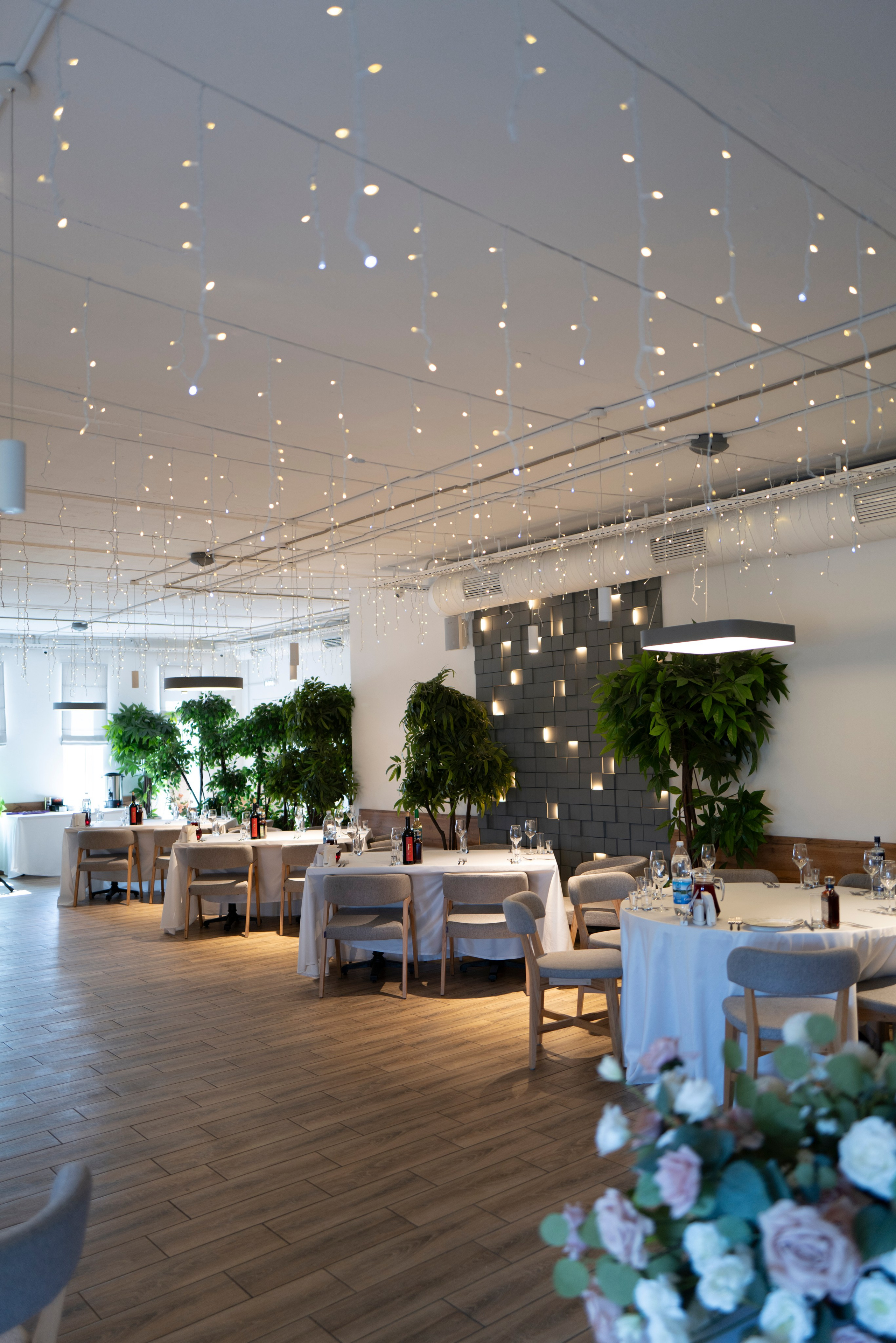 Рестораны. Maxon Magnusson