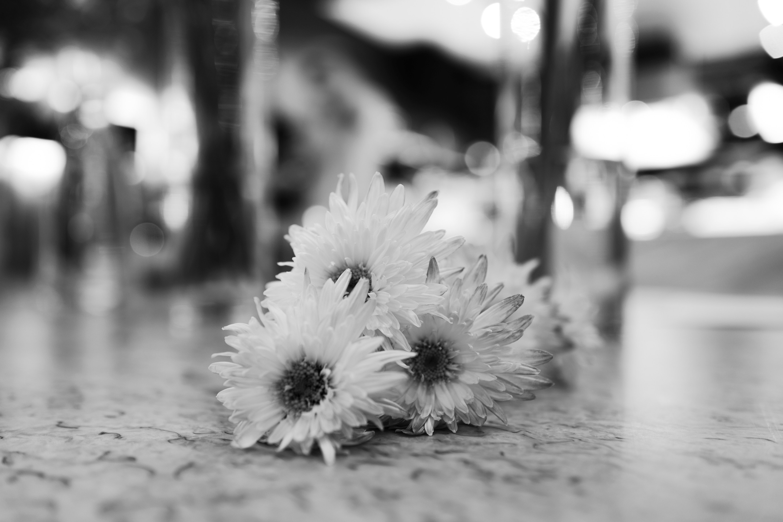 Lu Girls Only. Maxon Magnusson