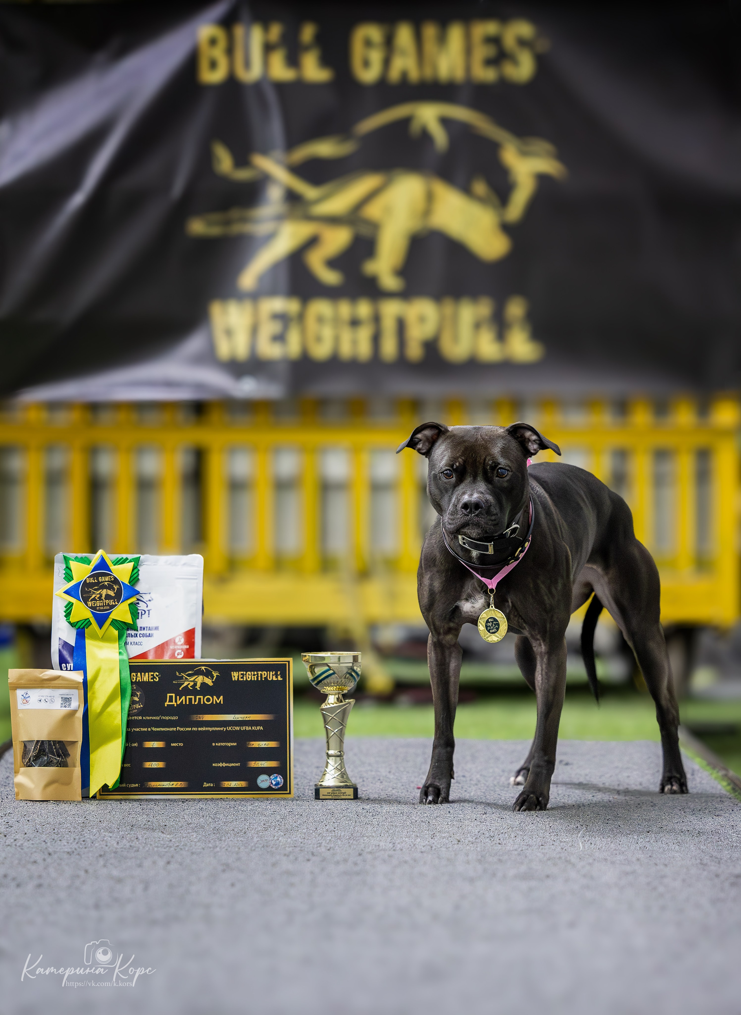 Спорт. Главная