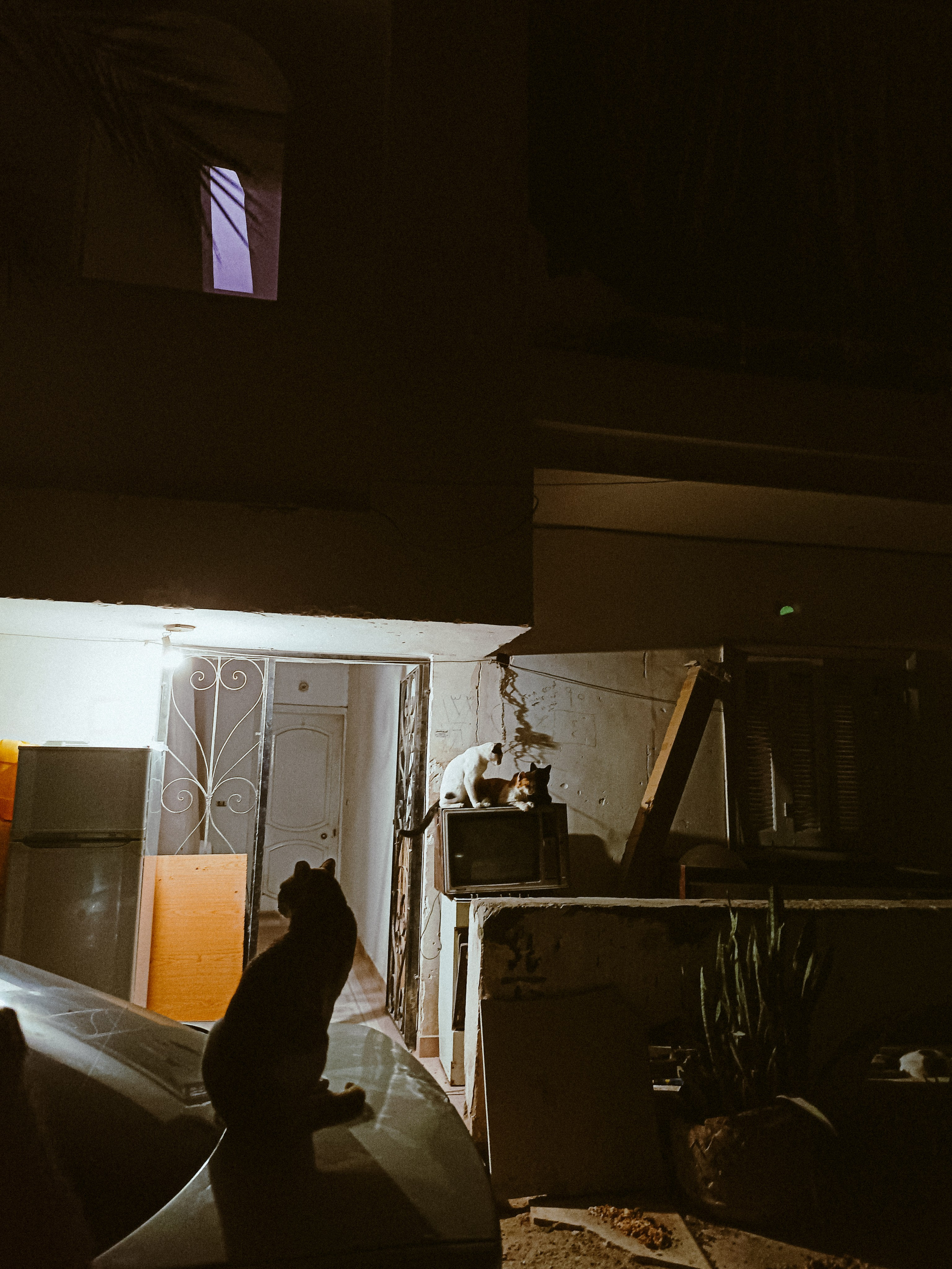 Мобильная. Jorgis — фотограф в Хургаде / обучение фотографии