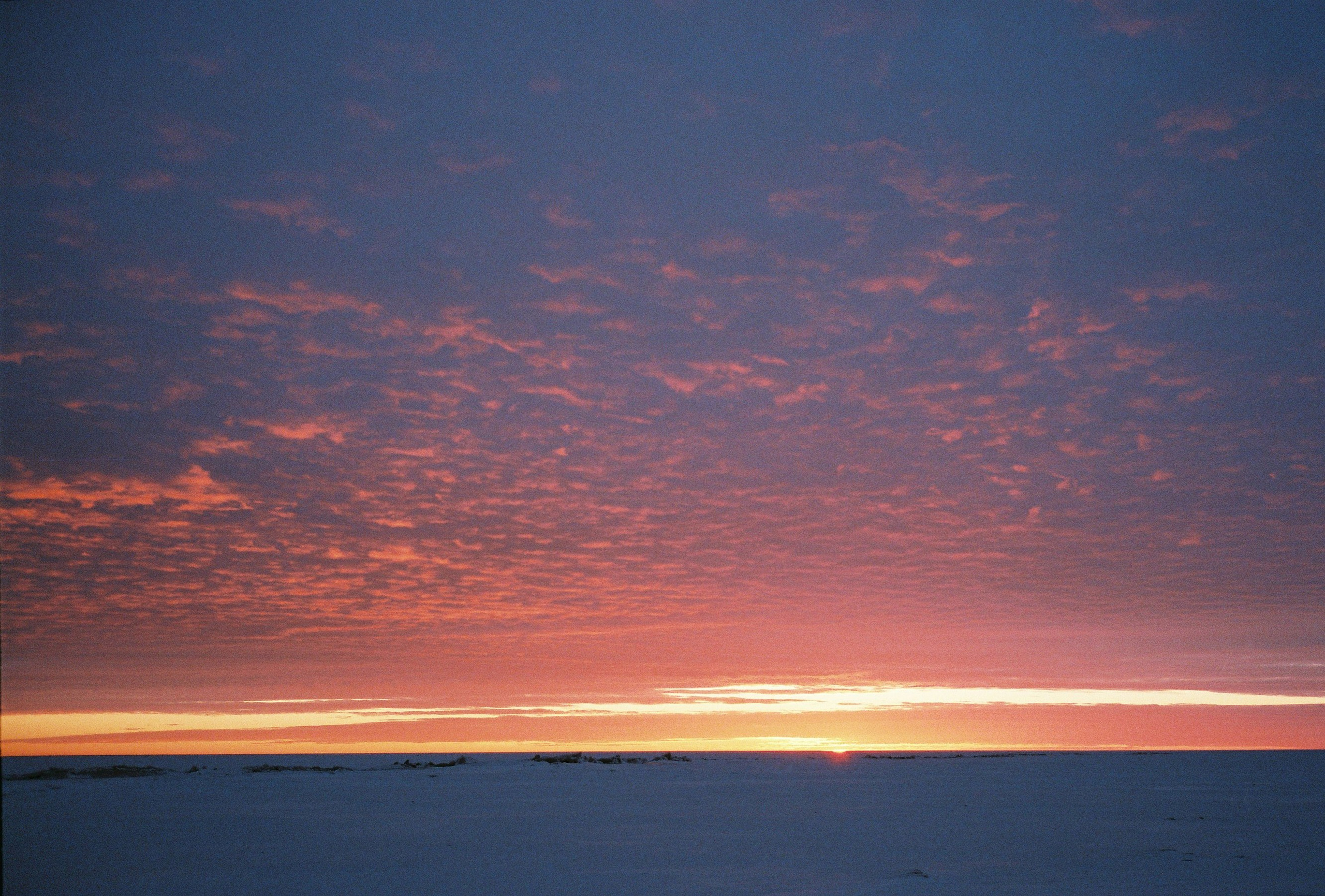 Идеи для фотосессии в СПб: Финский залив на закате (портреты)