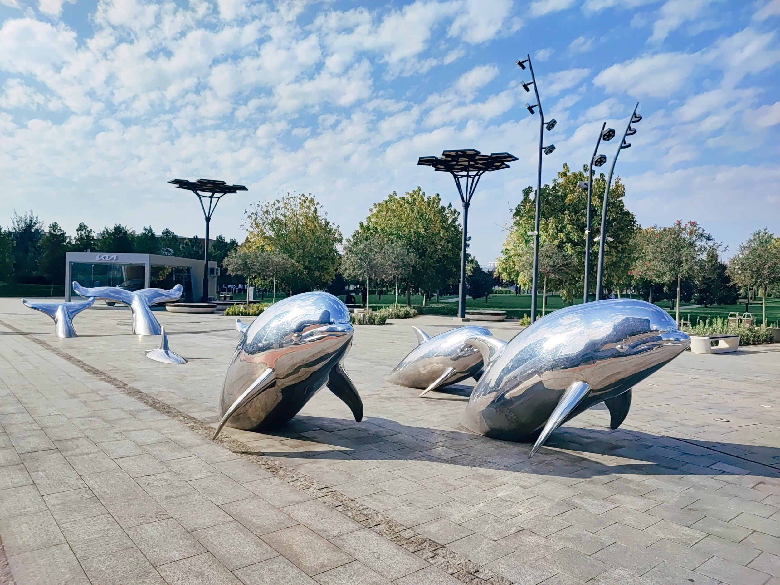 Намобилкус узбекский. Репортажный фотограф Алексей Пирязев