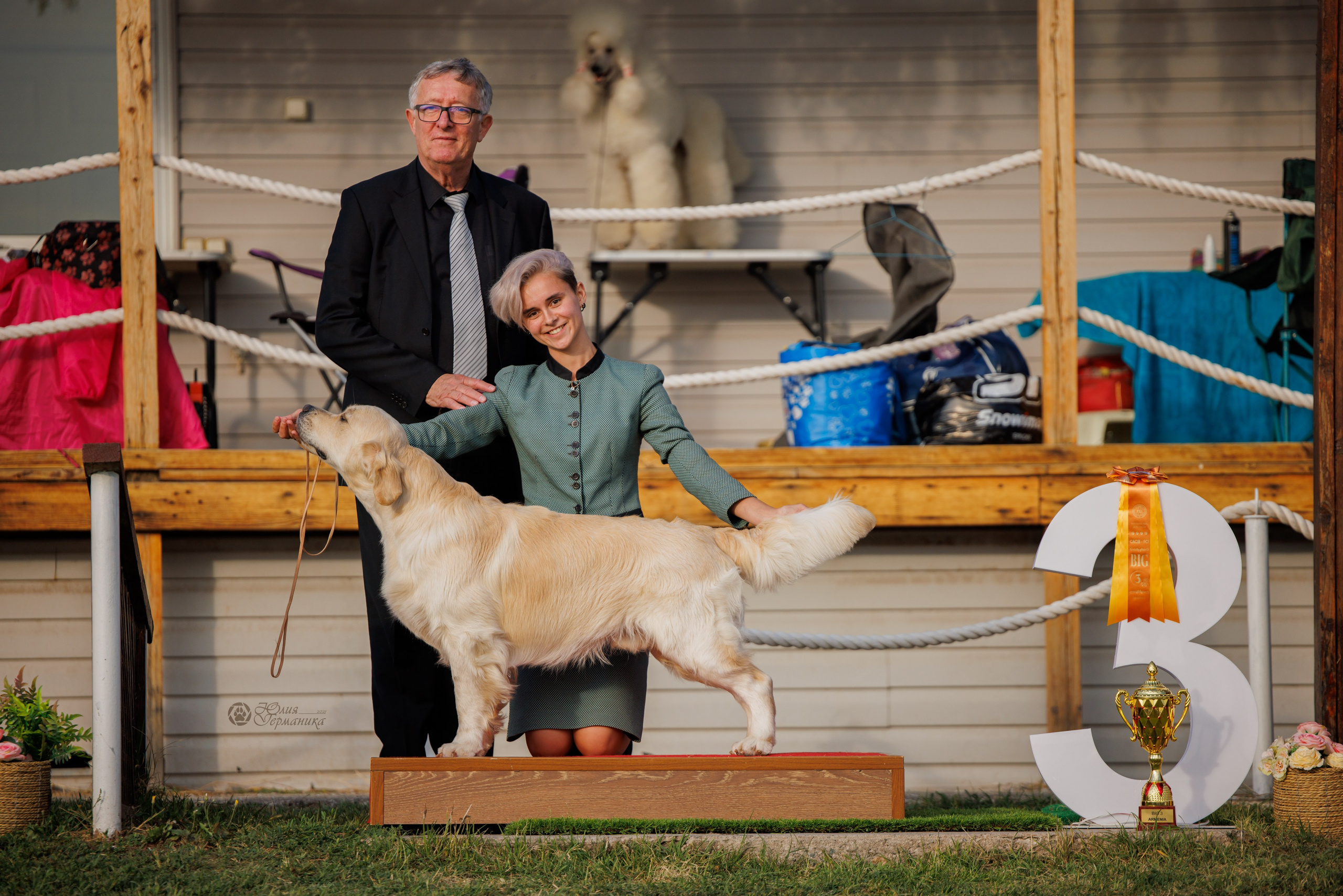 Армения,Ереван 3хCACIB 15-17.10.2024. Фотограф-анималист Юлия Германика