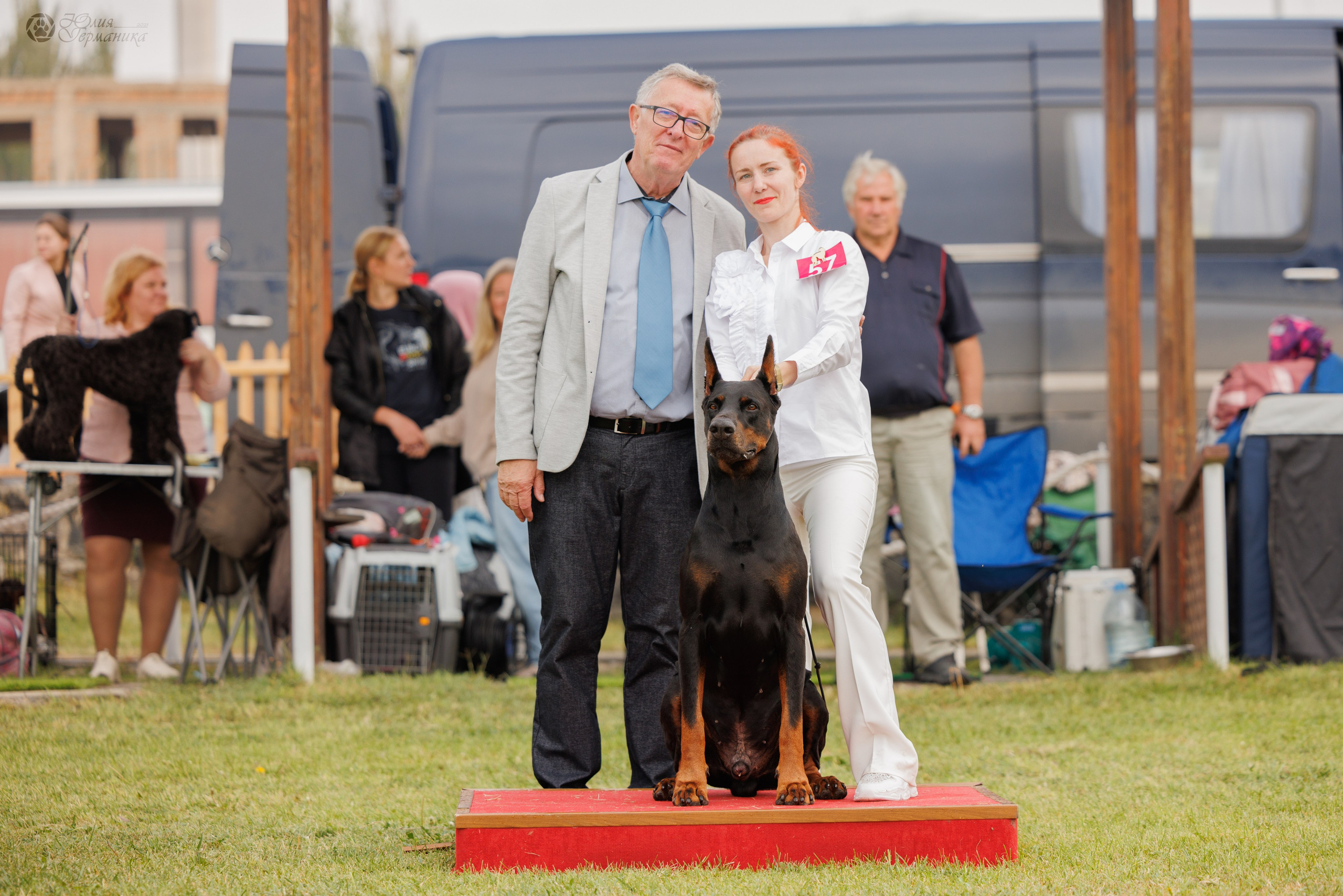 Армения,Ереван 3хCACIB 15-17.10.2024. Фотограф-анималист Юлия Германика