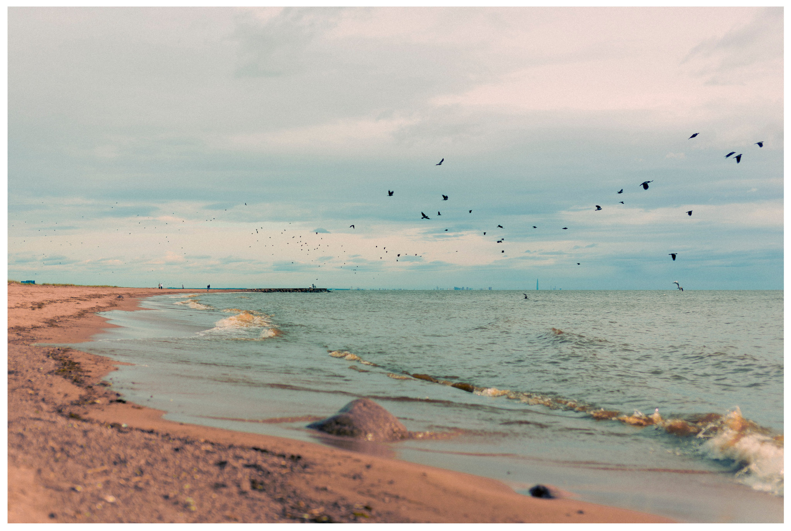 Из наблюдений. Плак или Квак