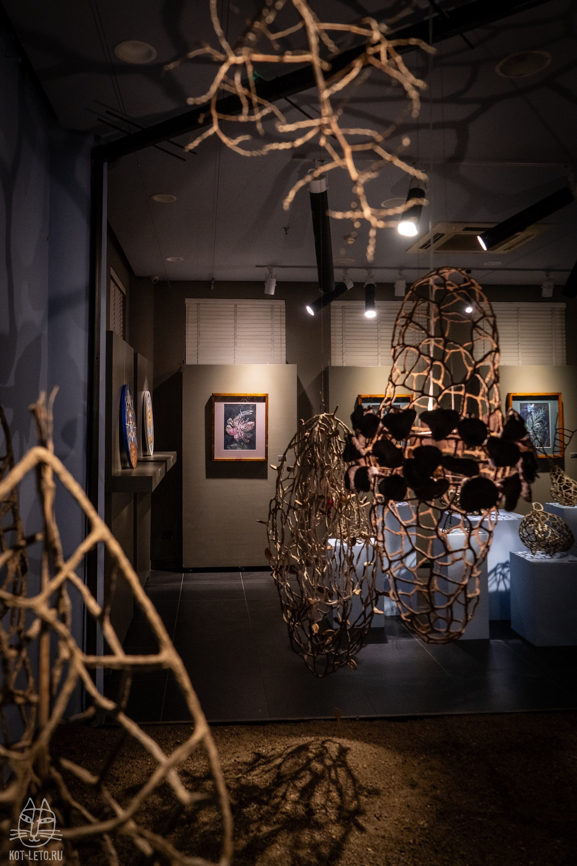 Exhibition BIOPHILIA (Goa). Твой фотограф — Полосатый кот