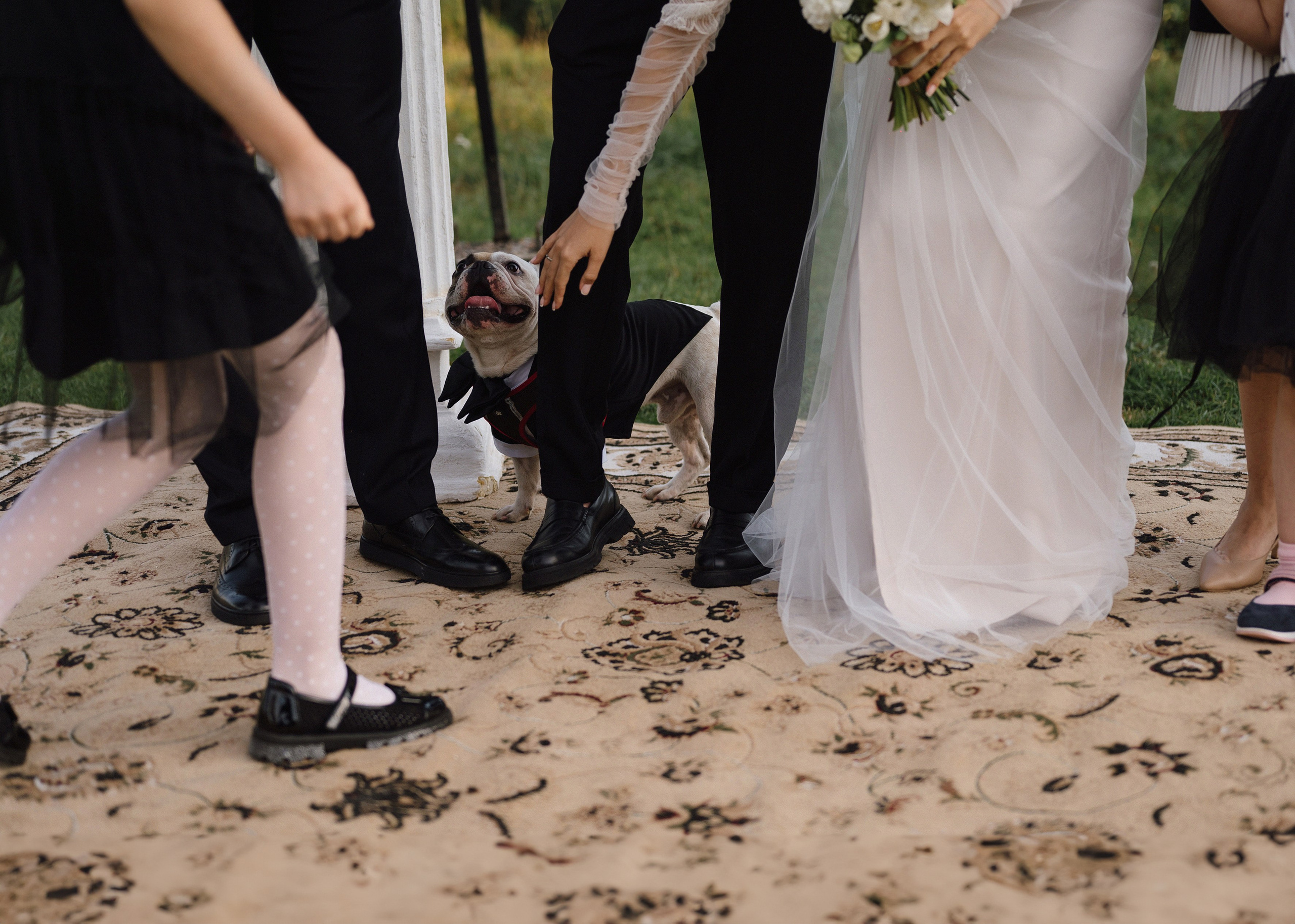 Sergio | Sveta. Свадебный фотограф Сергей Скрипник