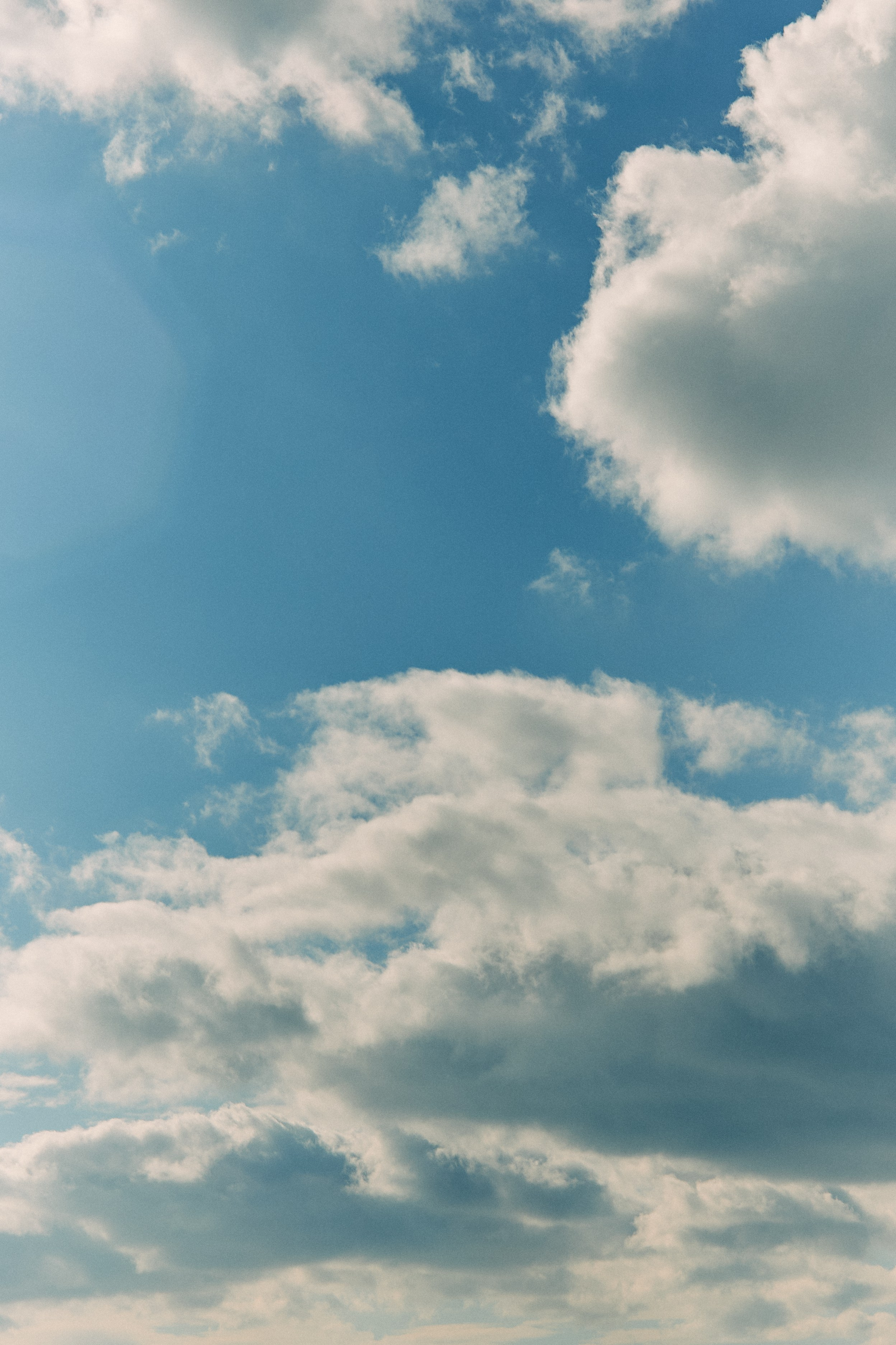 Юг России. Профессиональный Фотограф во Владимире, в Москве и в Суздале — Полина Романычева