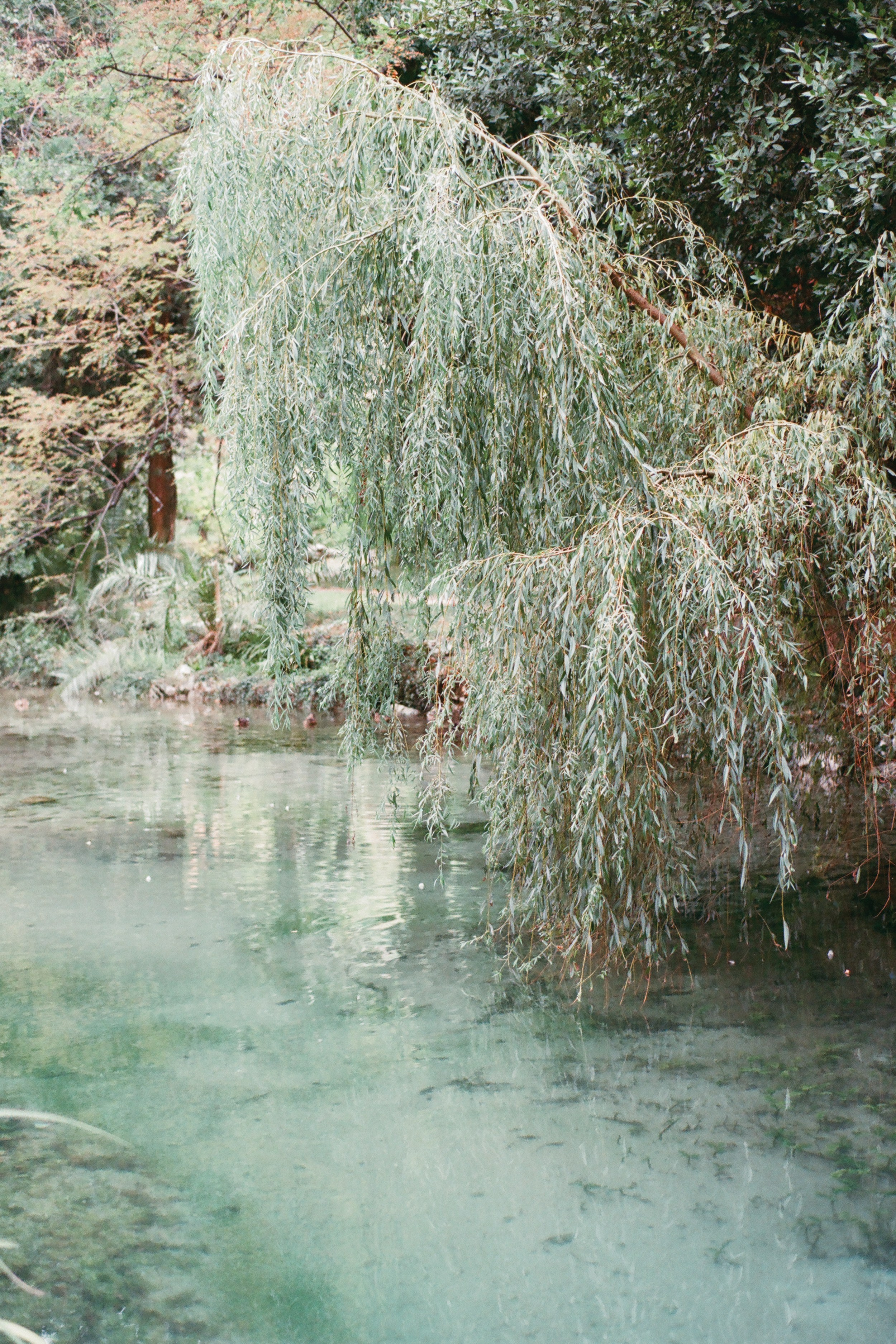 Свадьба в Черногории. Изящная фотография | Ксения Милушкина