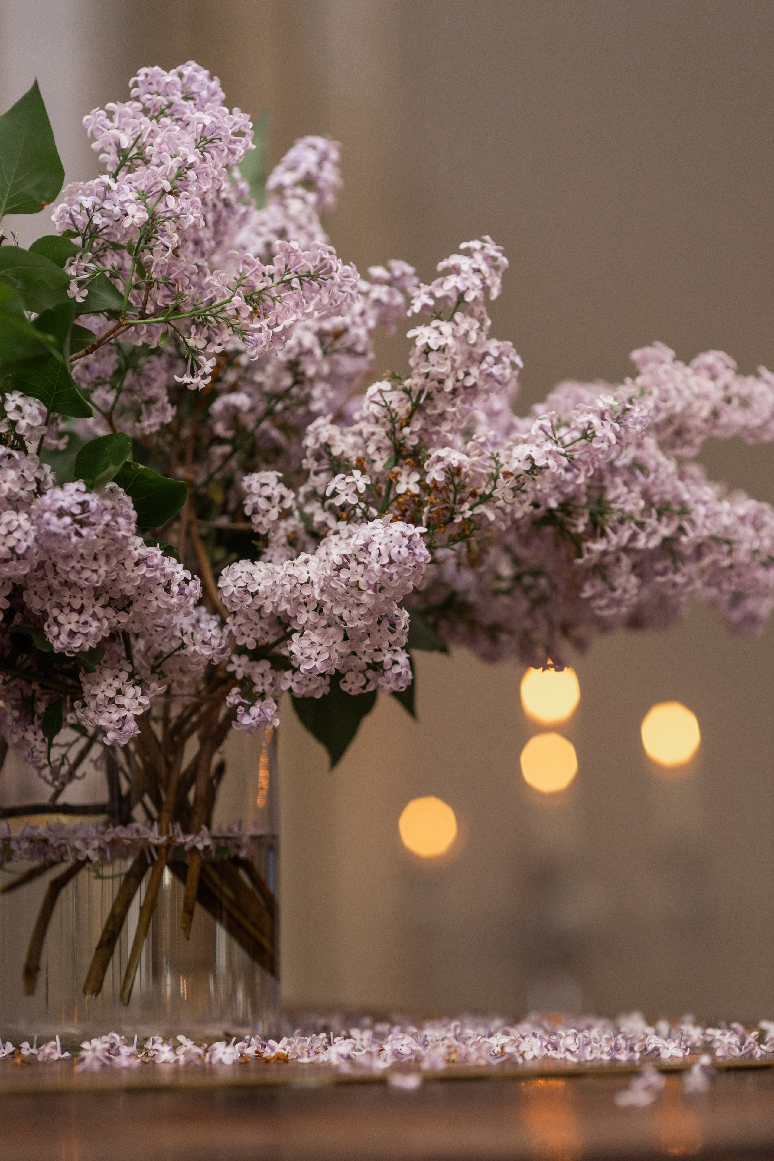 Кинопоказ в особняке. Фотограф в Москве Десятова Ксения