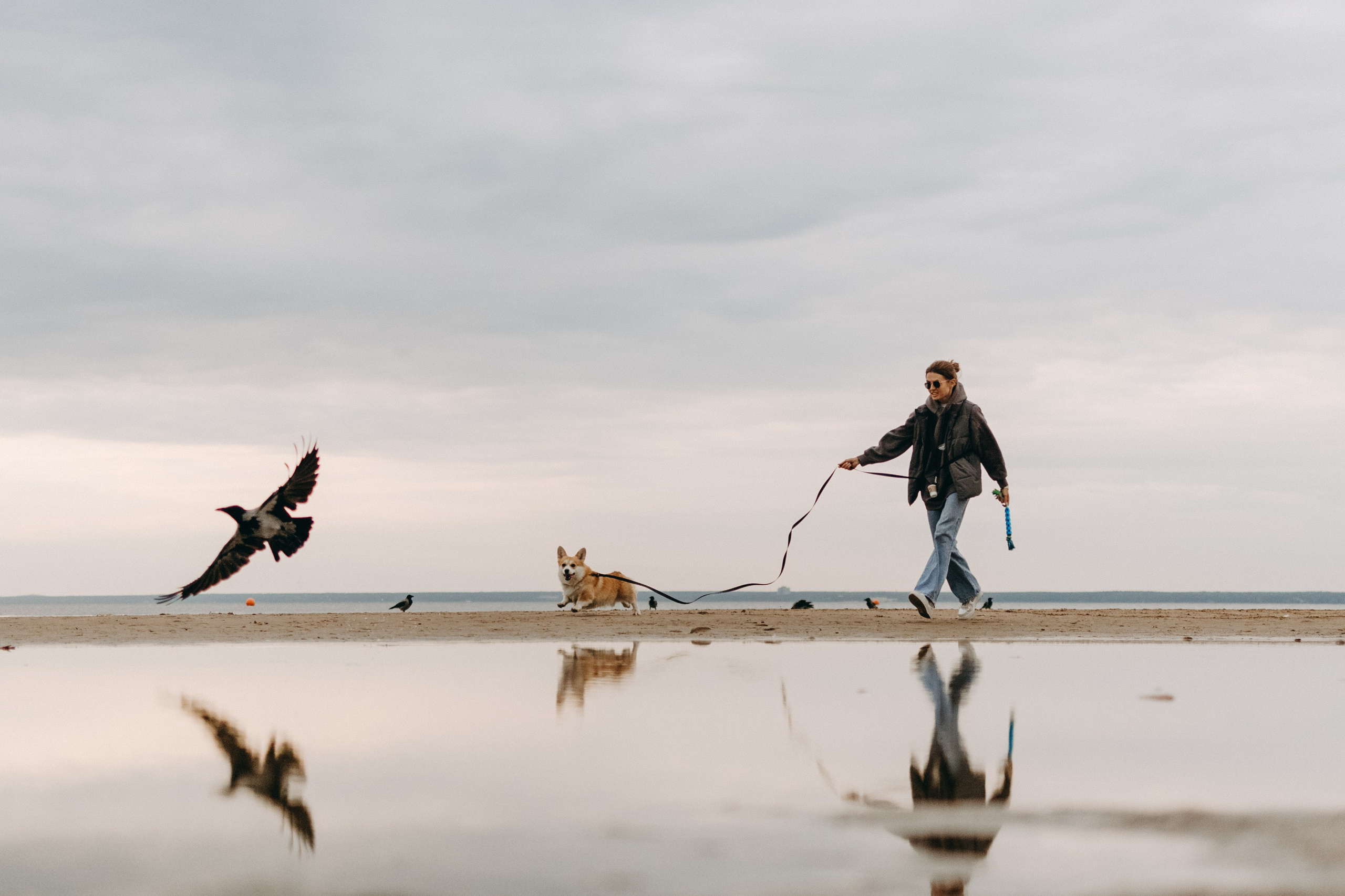 Лиза и Бакс. Фотограф — Анималист | Санкт-Петербург